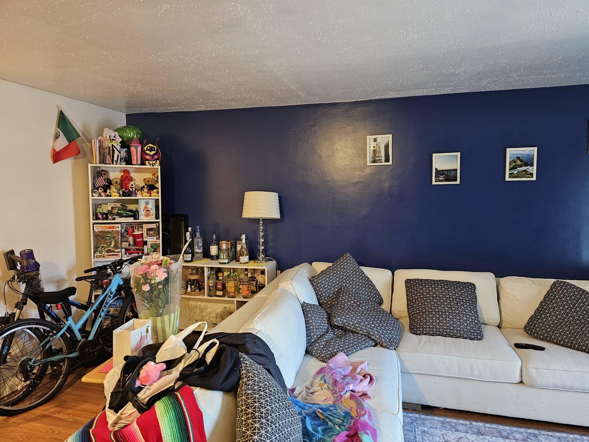 Single Family Van Cleef  Queens, NY 11368, MLS-867625-2