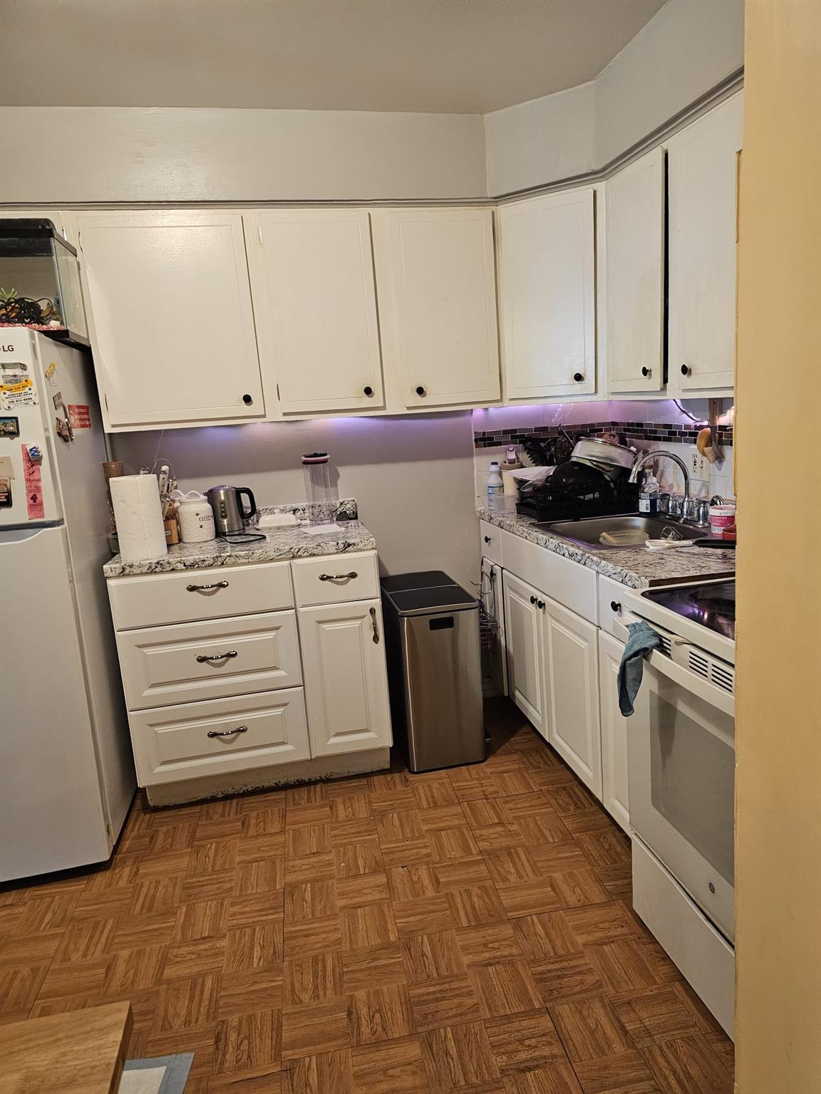 Single Family Van Cleef  Queens, NY 11368, MLS-867625-6