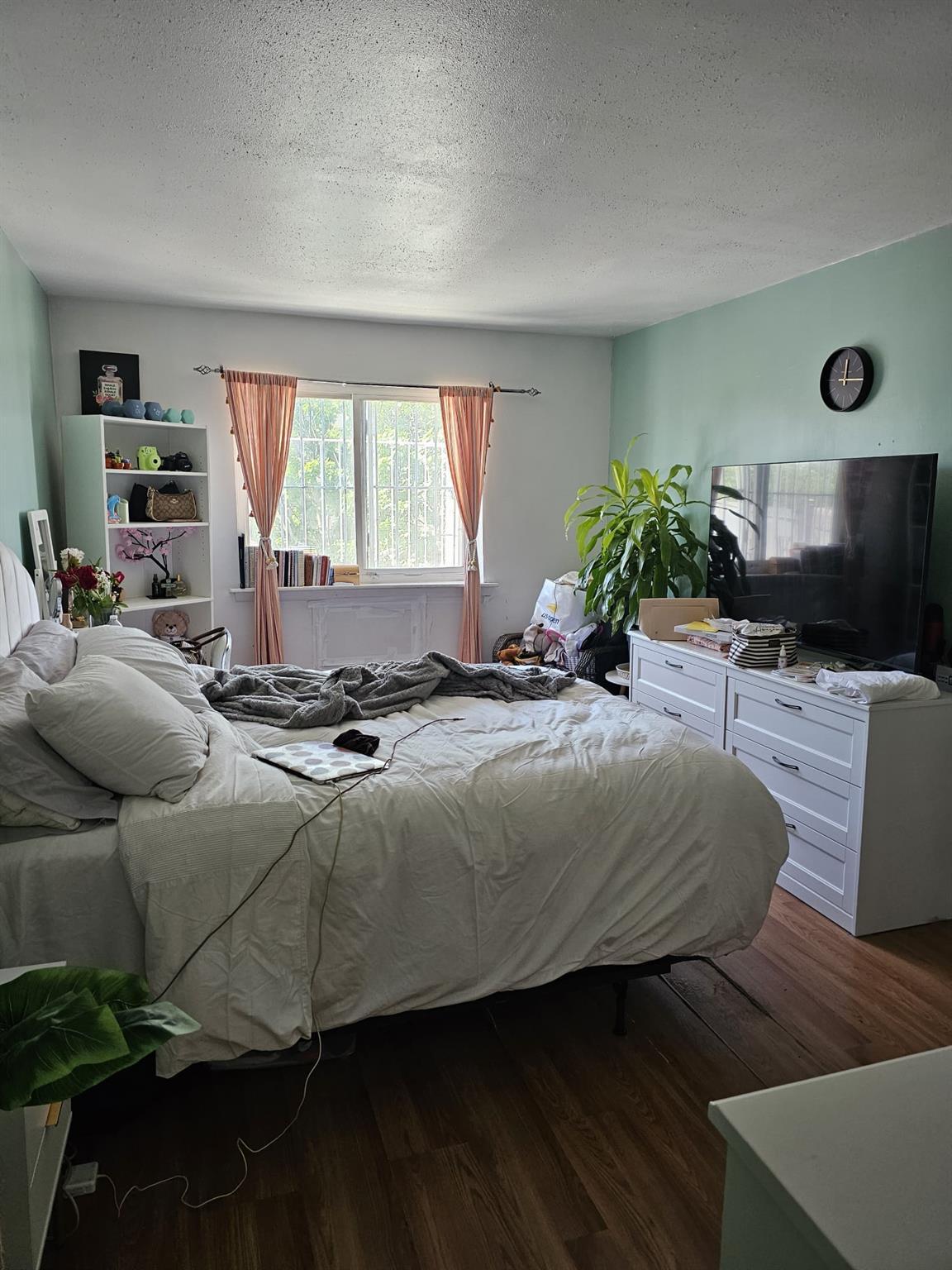 Single Family Van Cleef  Queens, NY 11368, MLS-867625-7