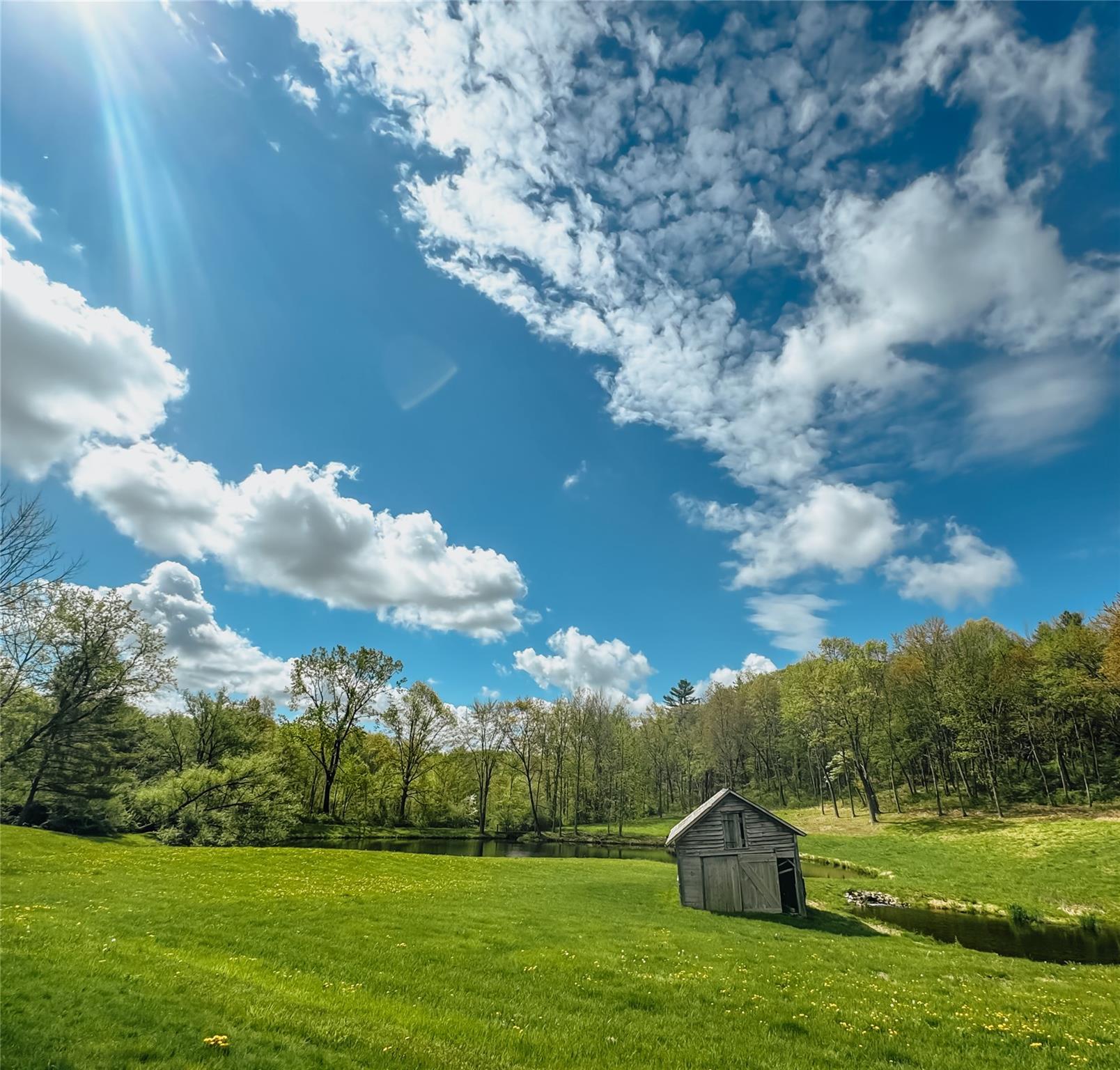 Single Family Rapp  Columbia County, NY 12184, MLS-867833-41