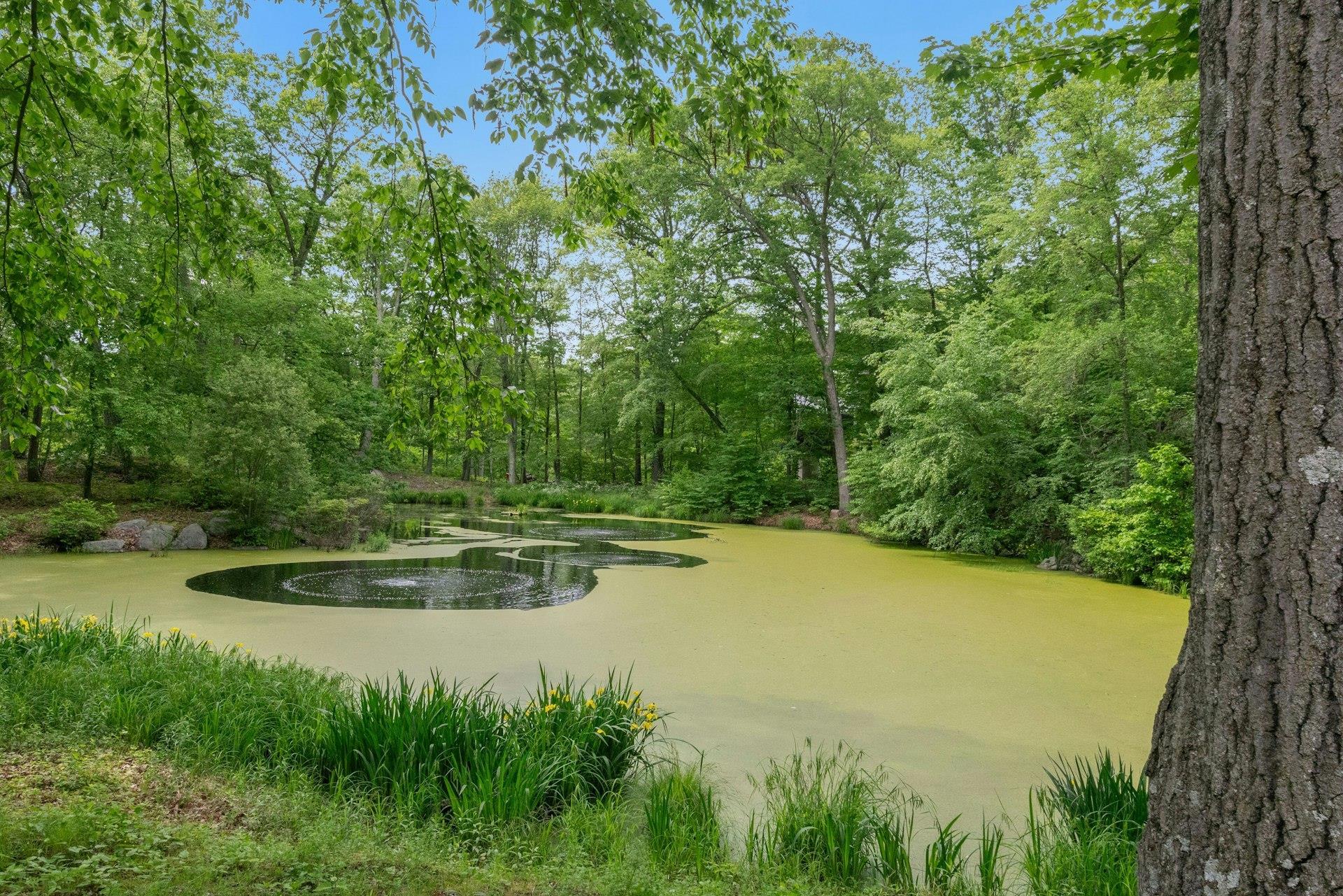 Single Family Chapman Putnam County, NY 10524, MLS-868112-23