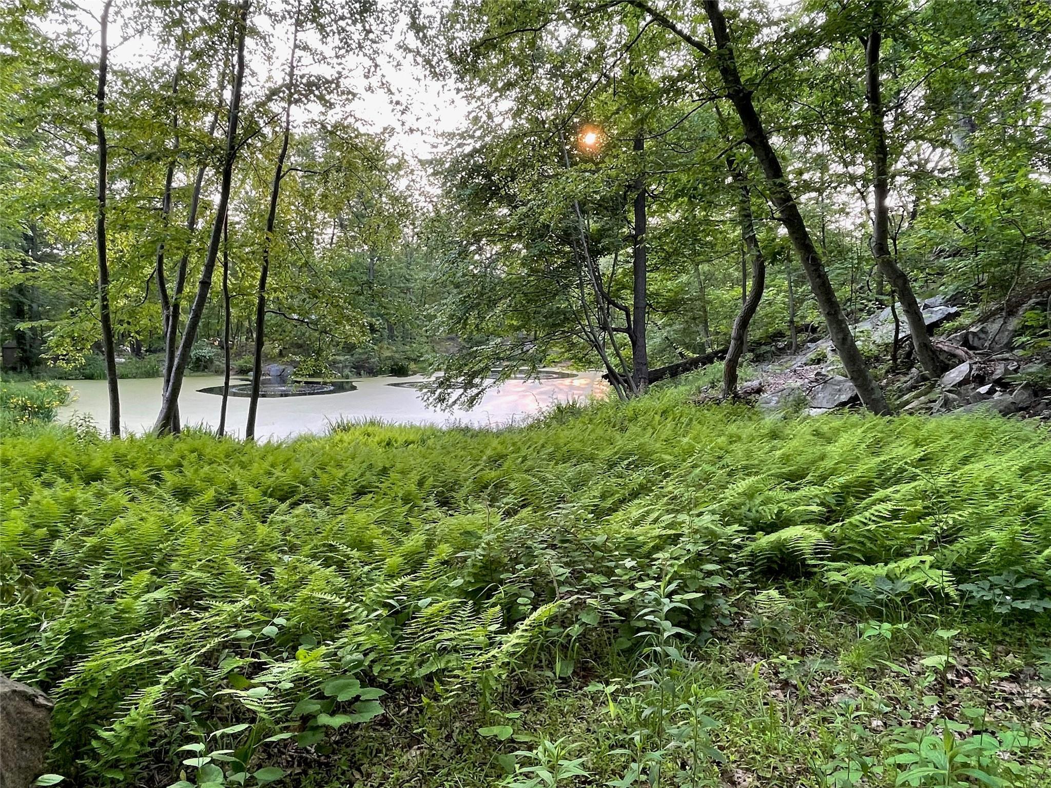 Single Family Chapman  Putnam County, NY 10524, MLS-868112-8