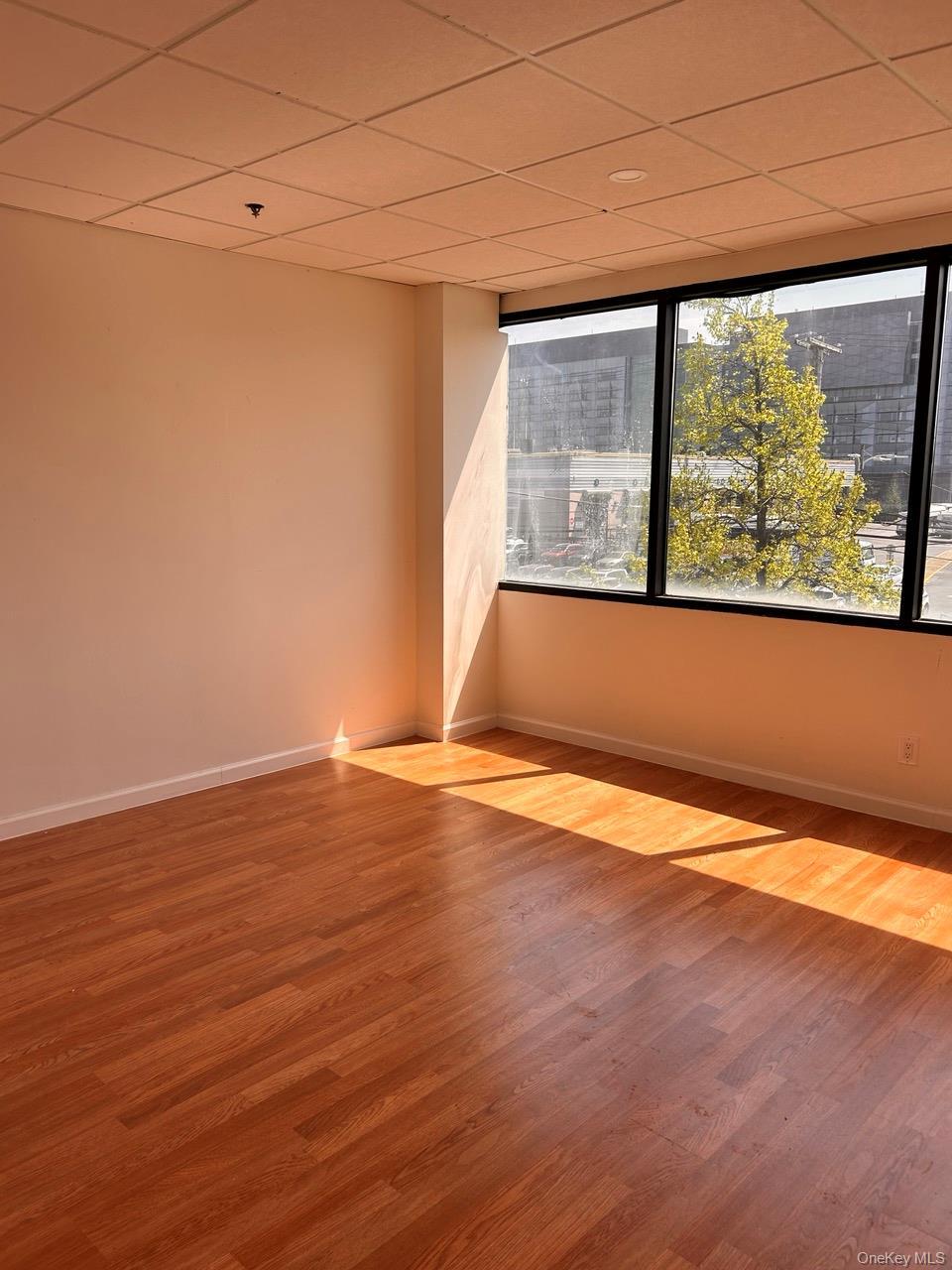 Commercial Lease 26th  Queens, NY 11354, MLS-868142-2