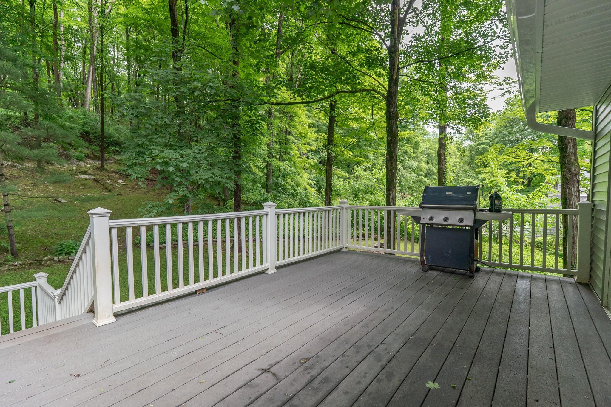Single Family Mountain  Dutchess County, NY 12569, MLS-868666-32