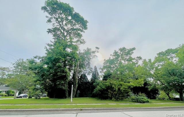 Single Family Park  Nassau County, NY 11520, MLS-868675-22