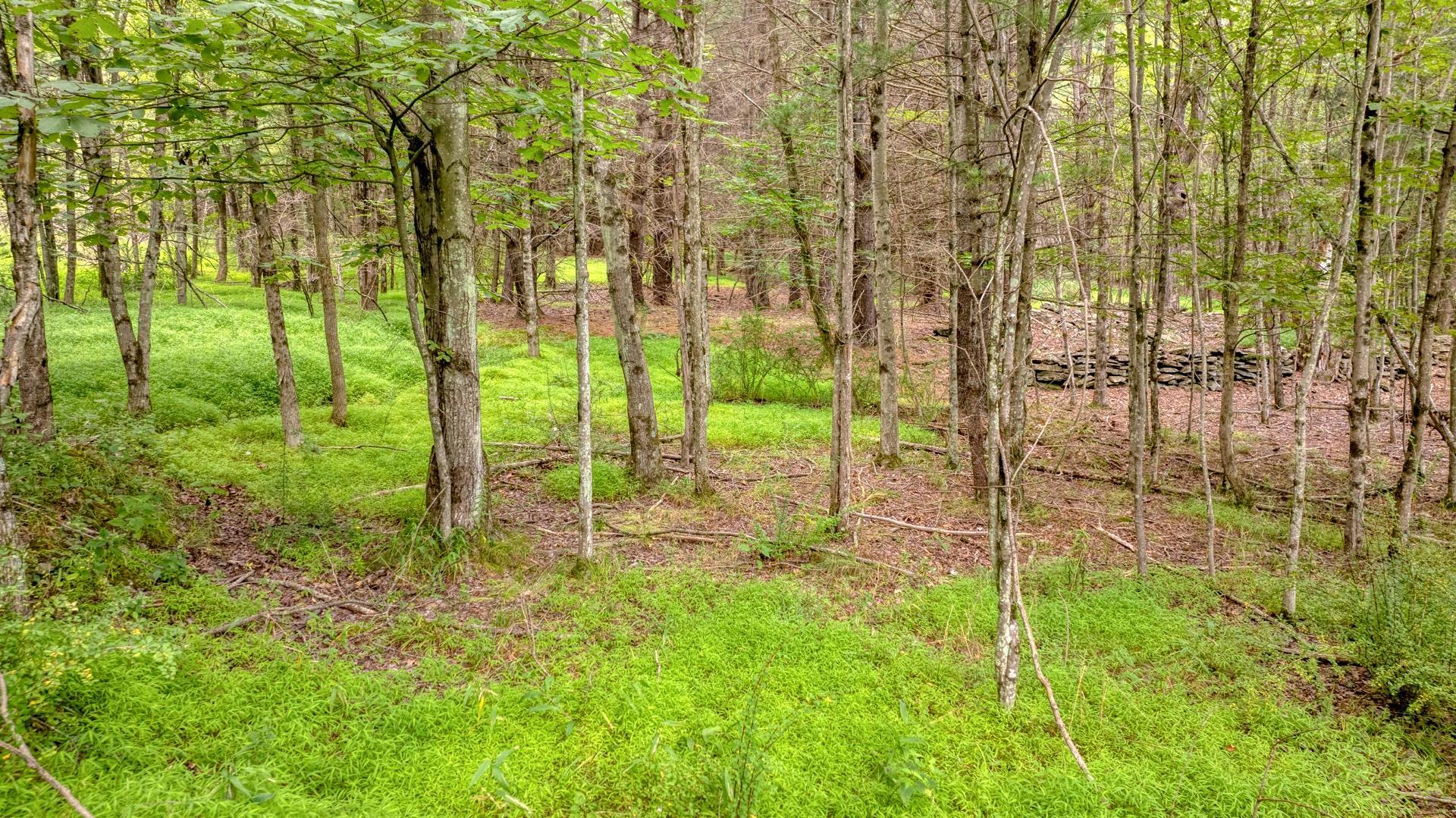 Single Family Jomar  Ulster County, NY 12461, MLS-868698-37