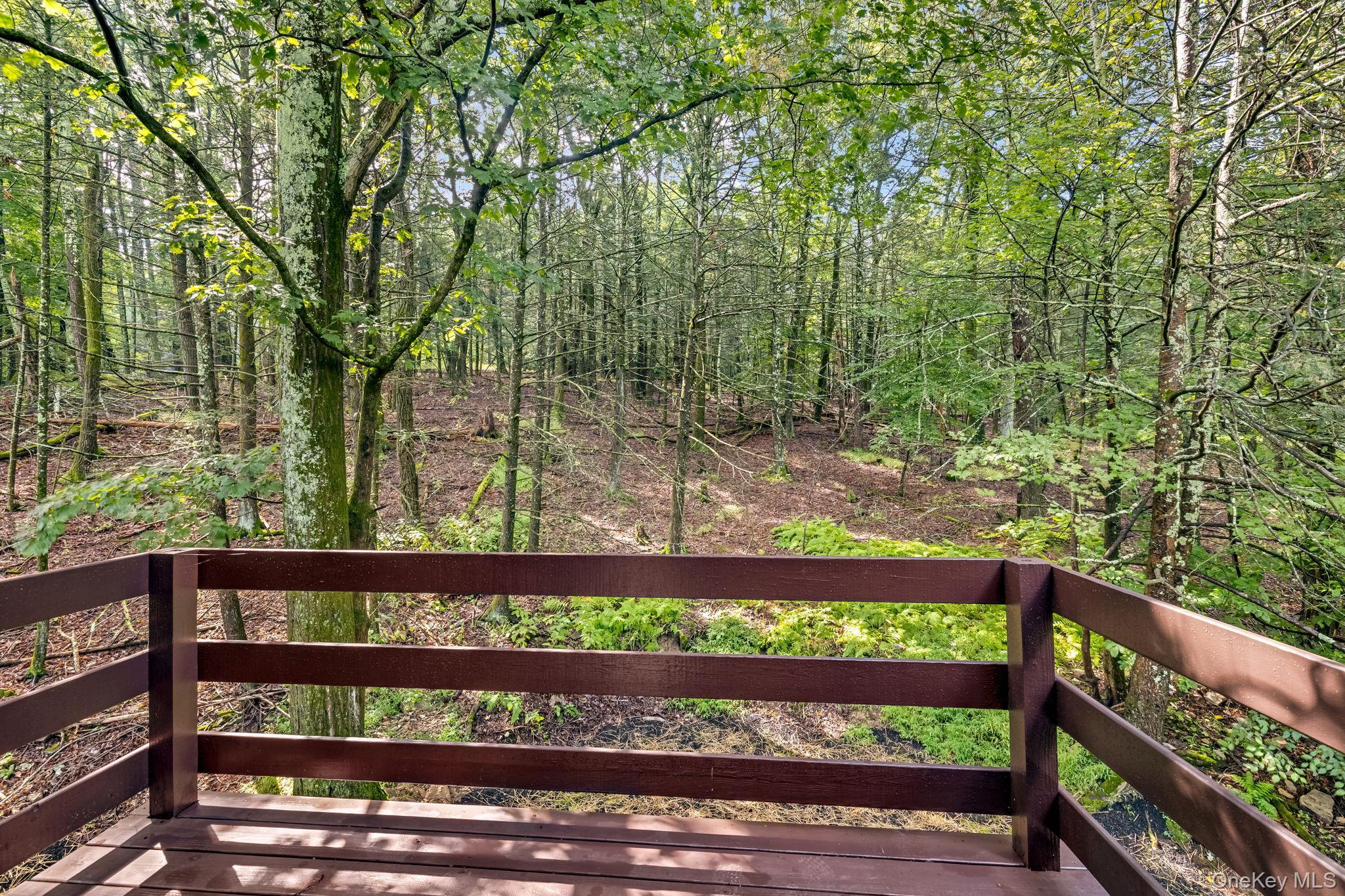 Single Family Corbett  Orange County, NY 12549, MLS-868709-15