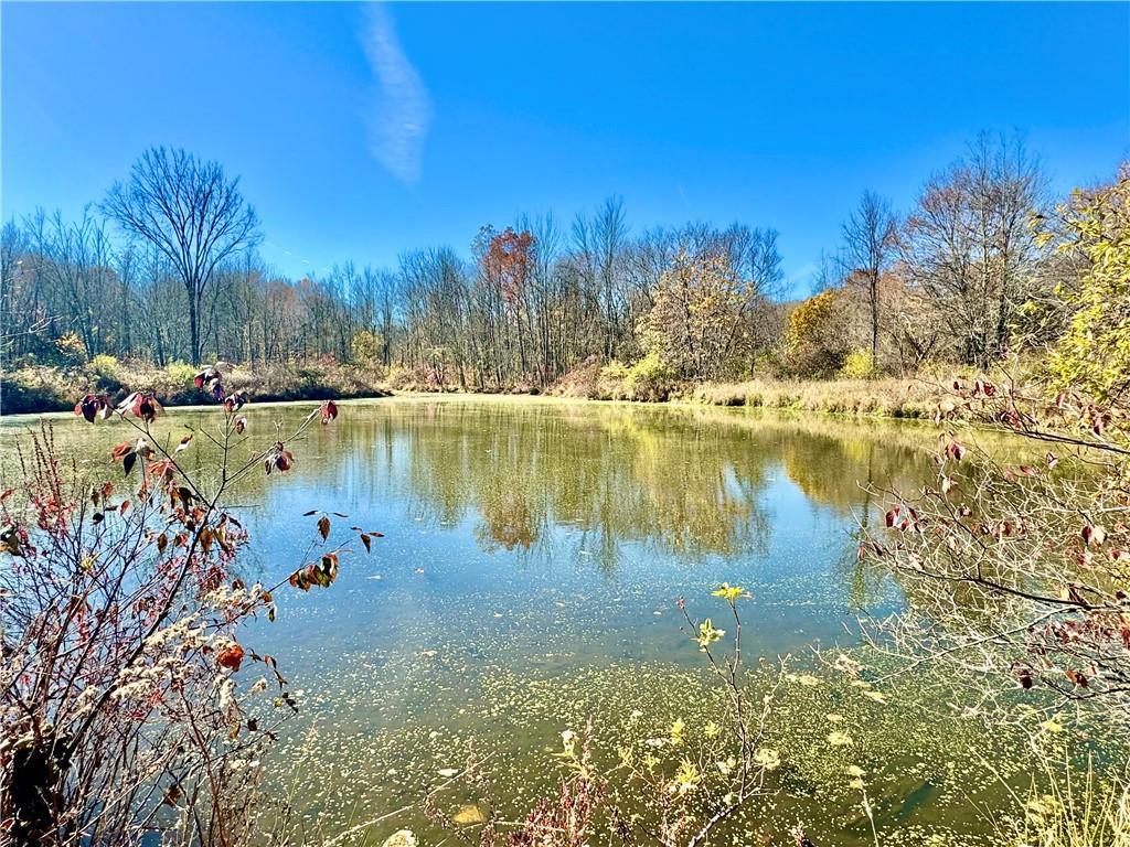 Single Family Howells  Orange County, NY 10940, MLS-868726-7