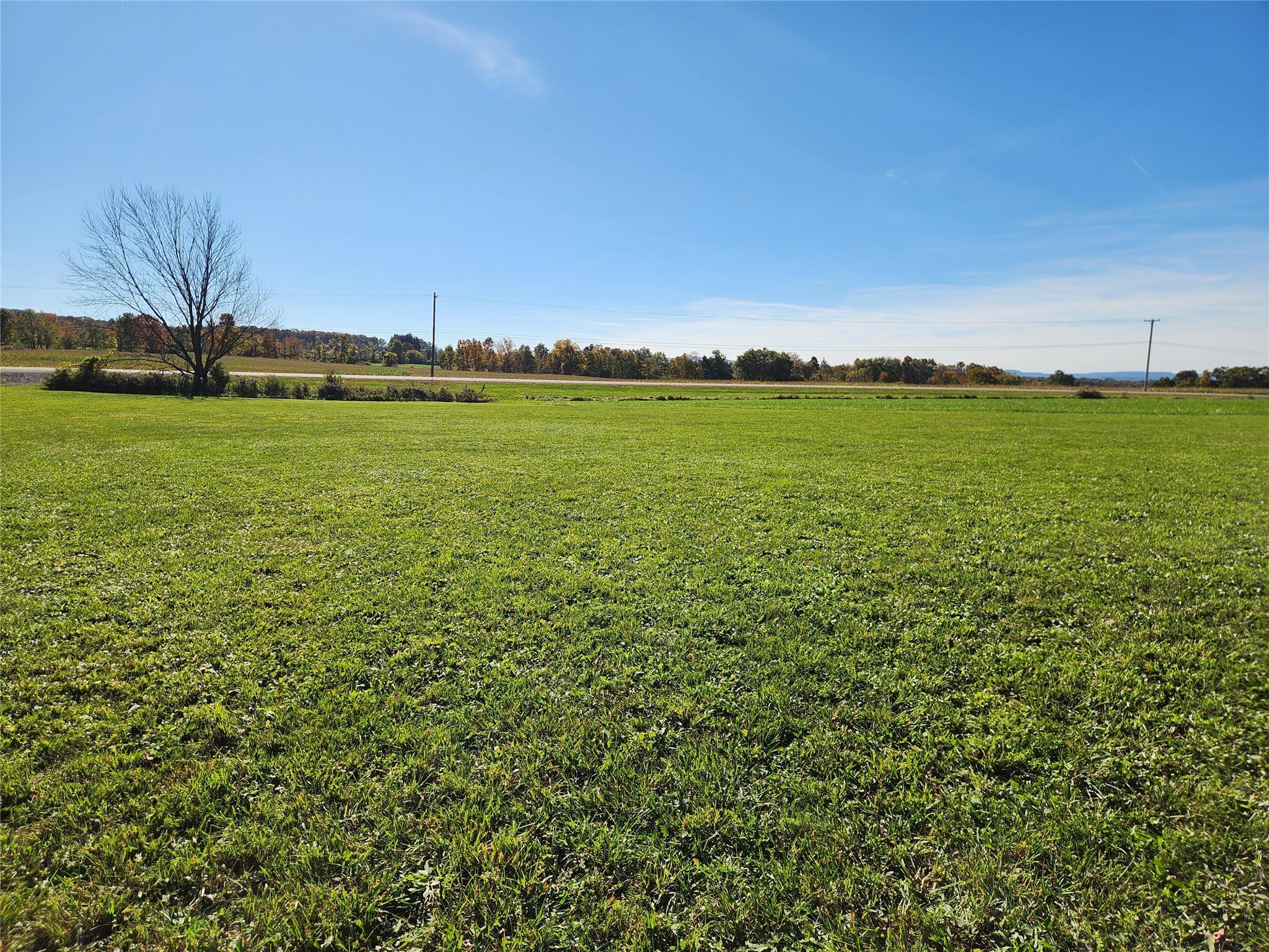 Single Family Klemme  Out Of Area, NY 12166, MLS-868817-5