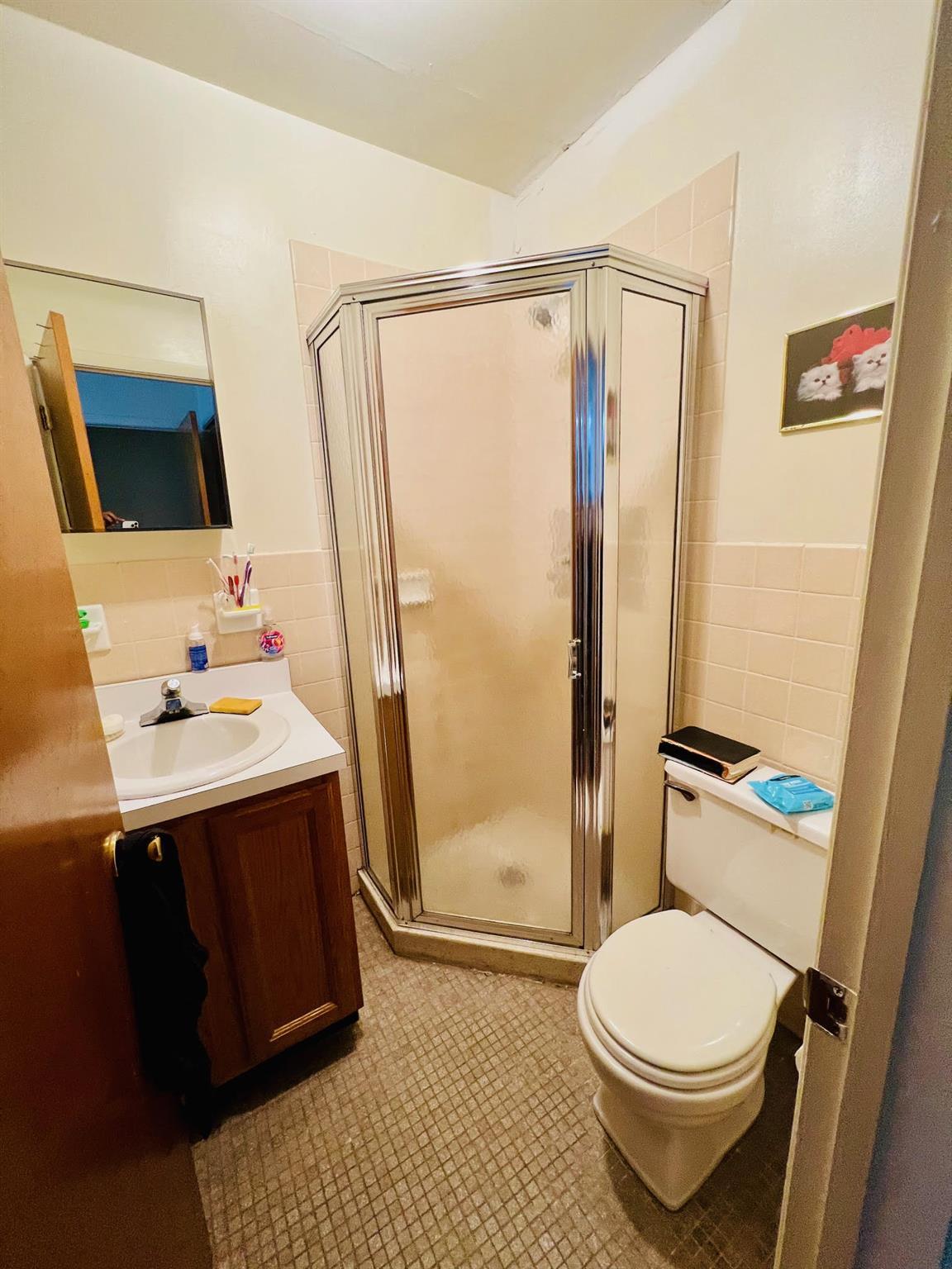 Single Family De Reimer  Bronx, NY 10466, MLS-868851-7