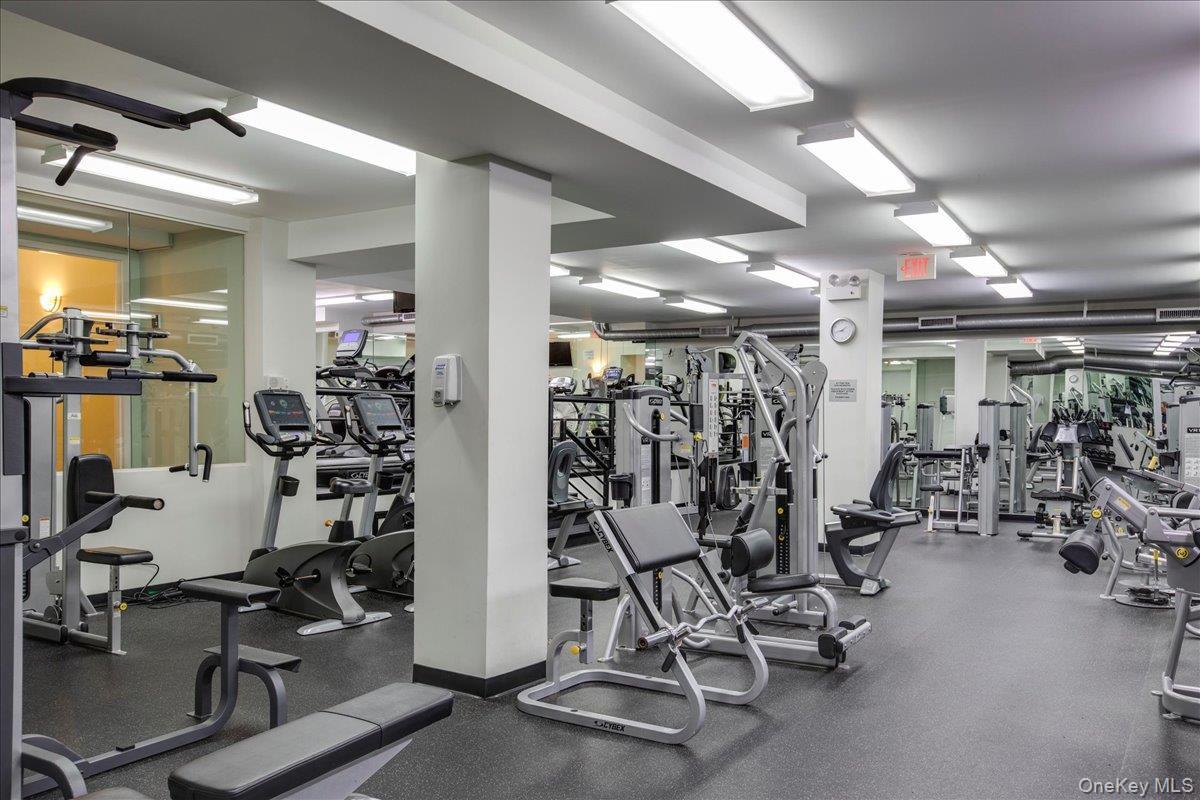 Coop 215th  Queens, NY 11360, MLS-868900-28