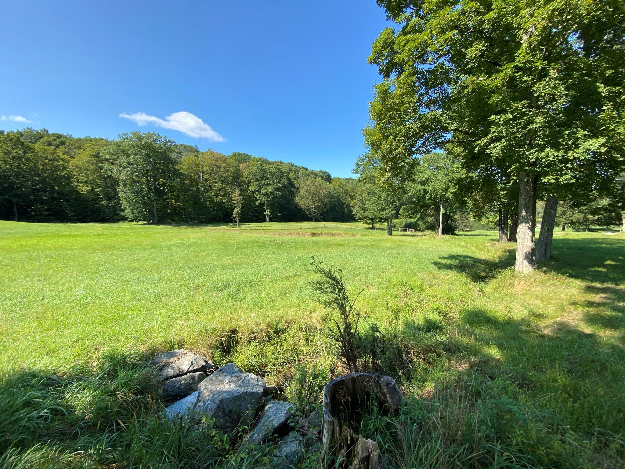Single Family Pumpkin  Dutchess County, NY 12514, MLS-868978-10