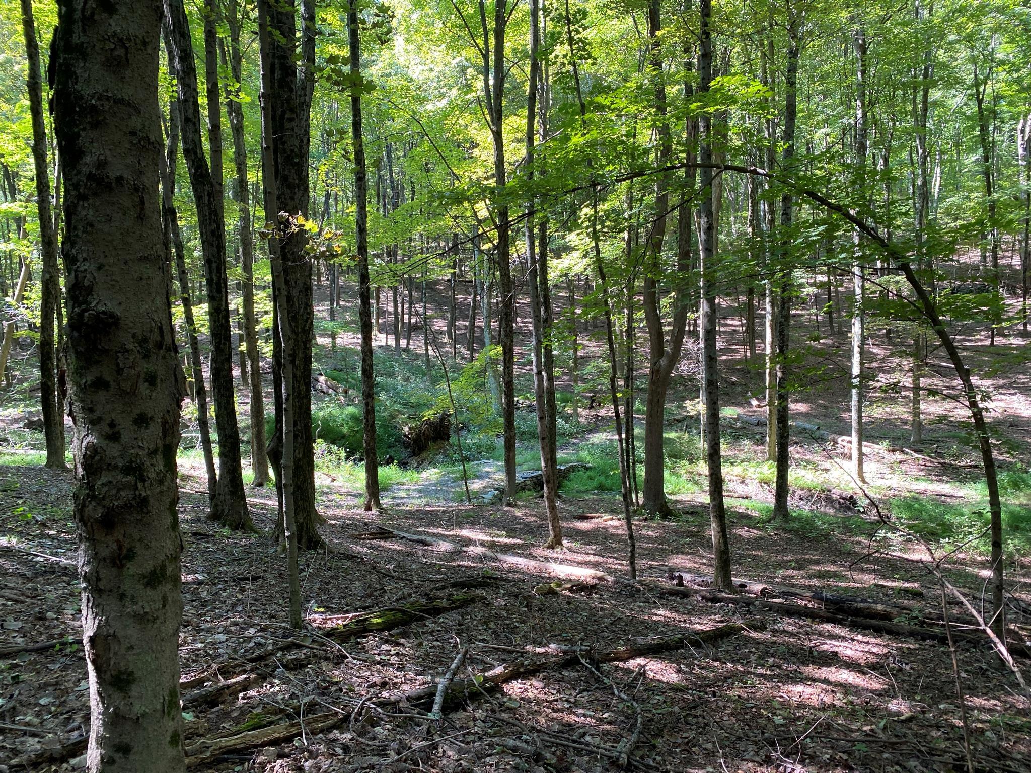 Single Family Pumpkin  Dutchess County, NY 12514, MLS-868978-11