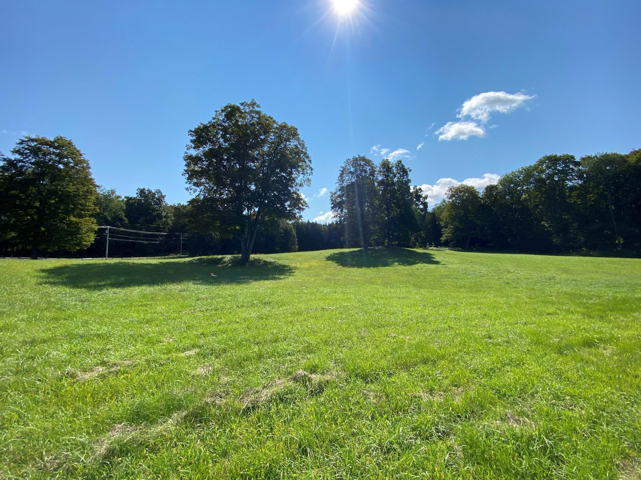 Single Family Pumpkin  Dutchess County, NY 12514, MLS-868978-7