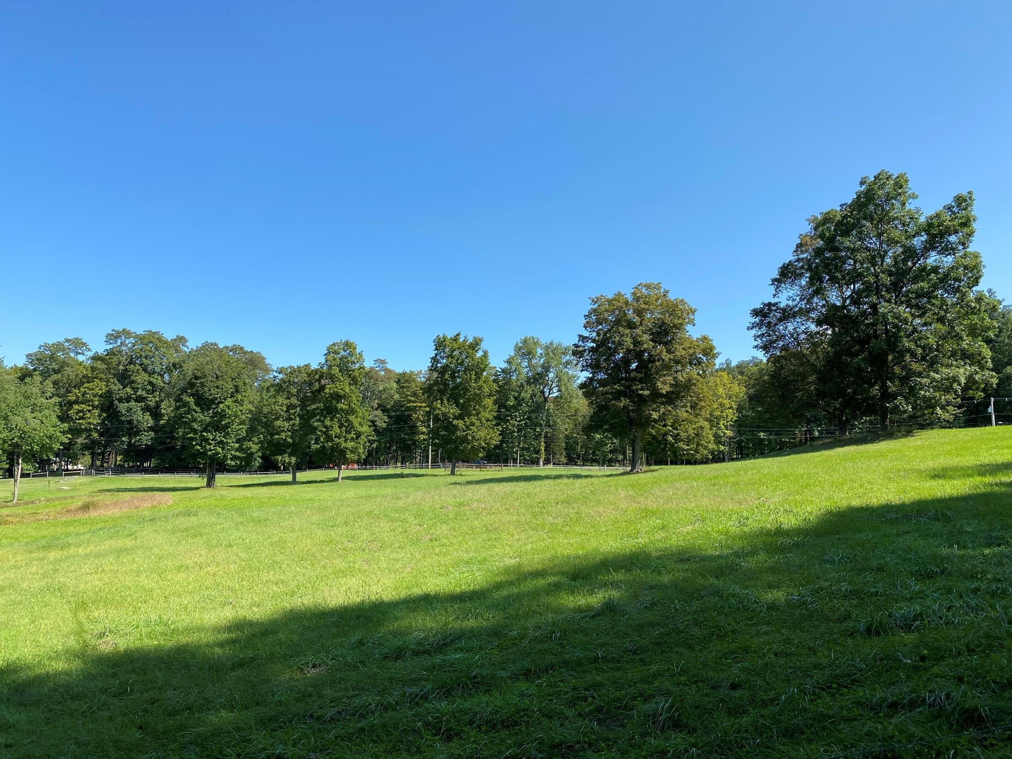 Single Family Pumpkin  Dutchess County, NY 12514, MLS-868978-8