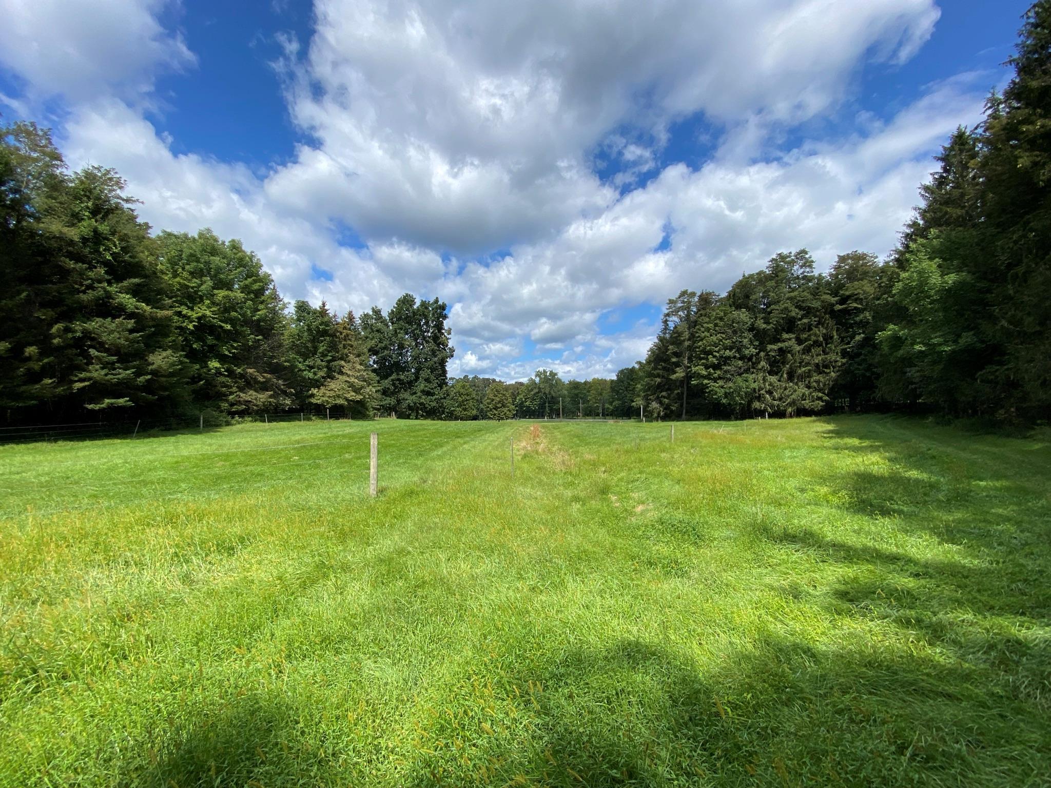 Single Family Pumpkin  Dutchess County, NY 12514, MLS-868978-9