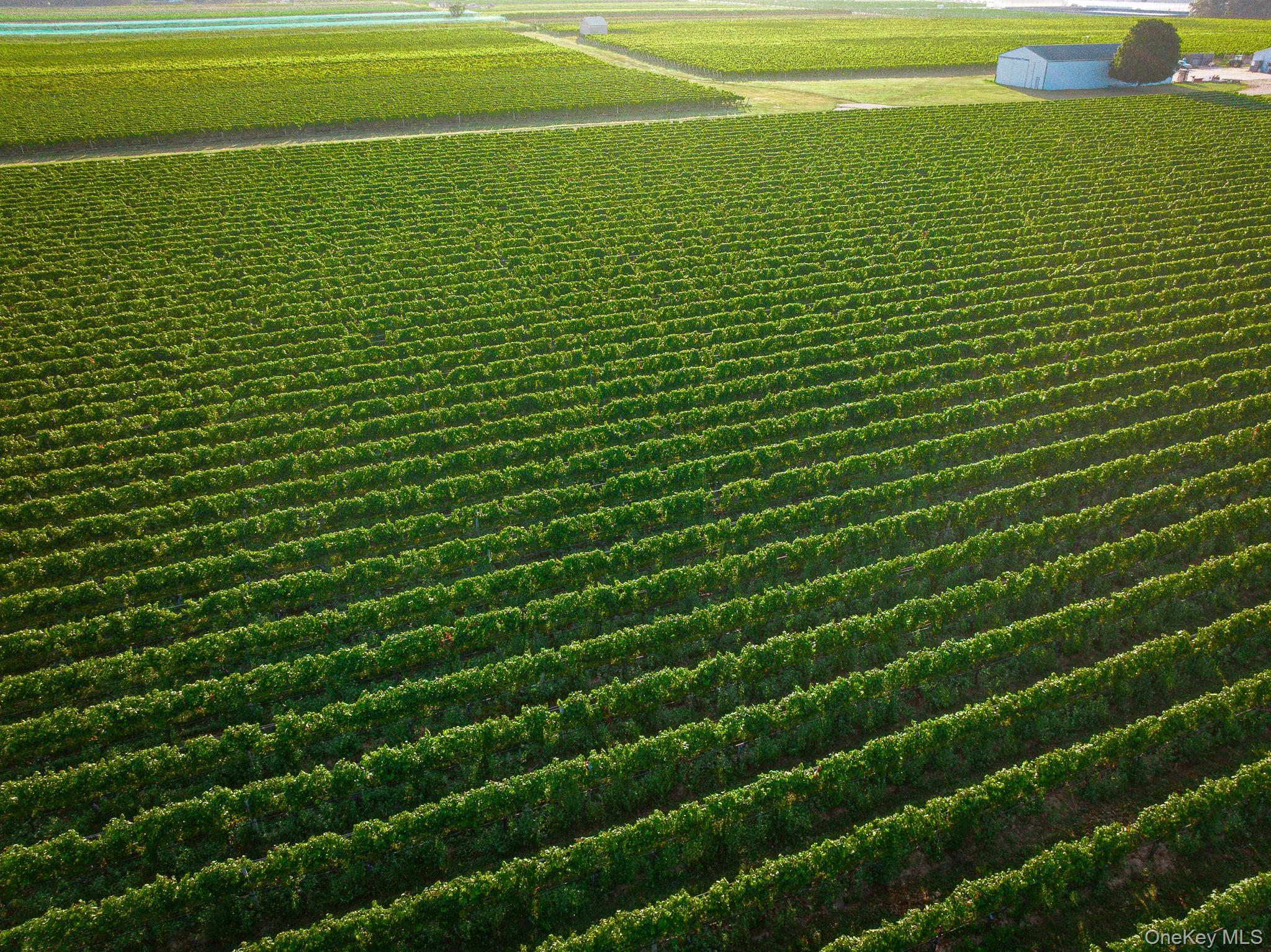 Single Family Sound Suffolk County, NY 11901, MLS-869330-44