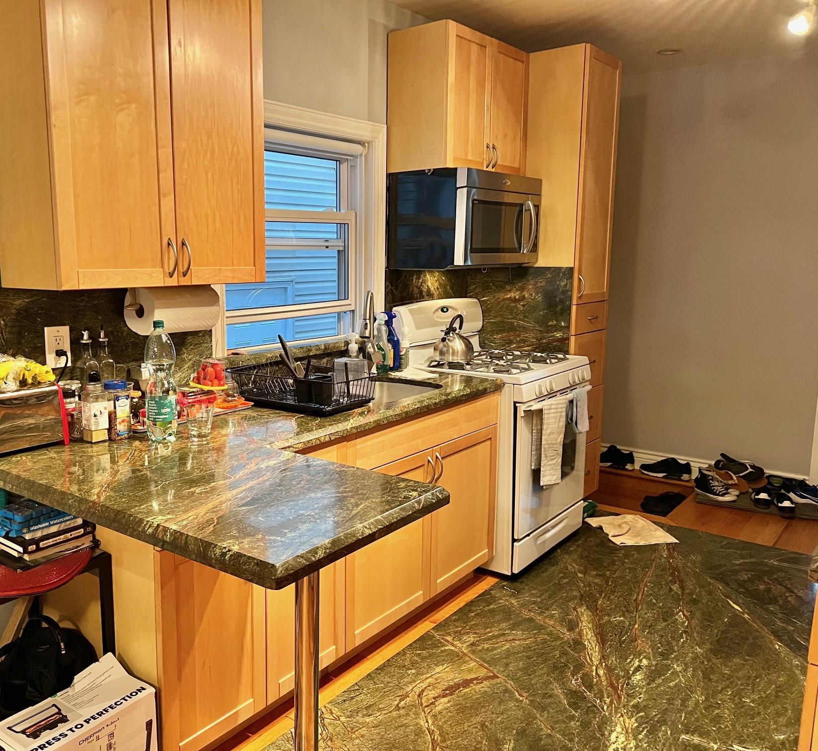 Single Family 60  Queens, NY 11385, MLS-869414-12