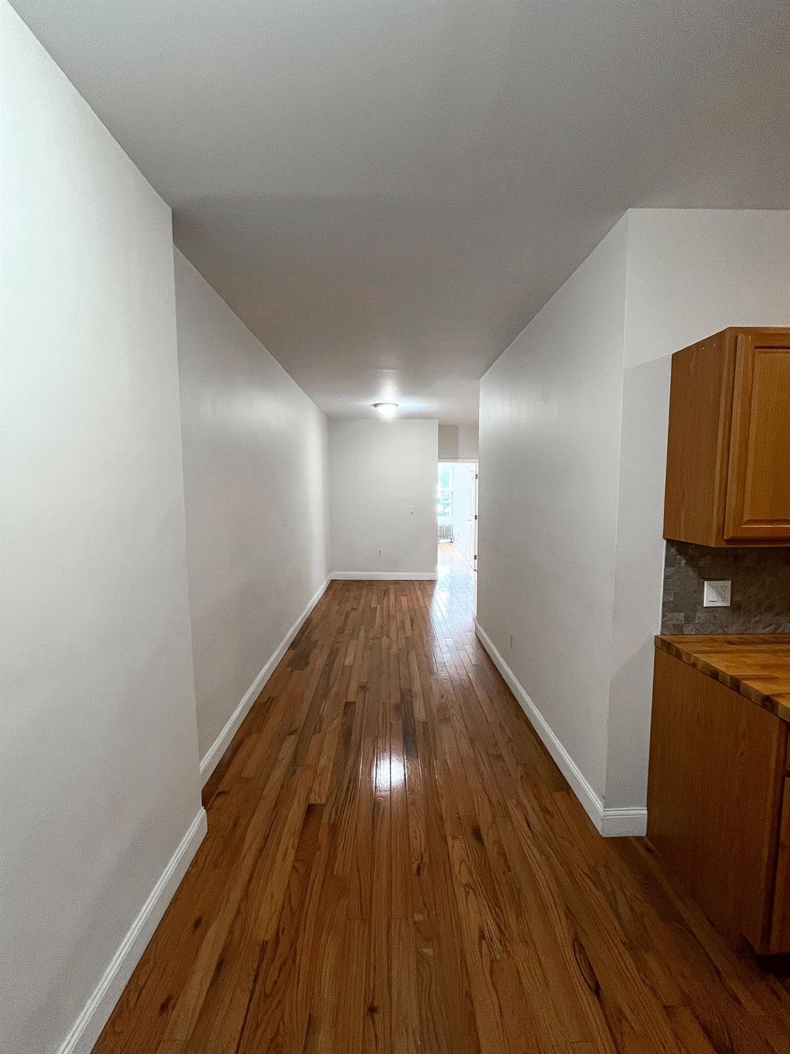 Apartment Ave I  Brooklyn, NY 11210, MLS-869487-4