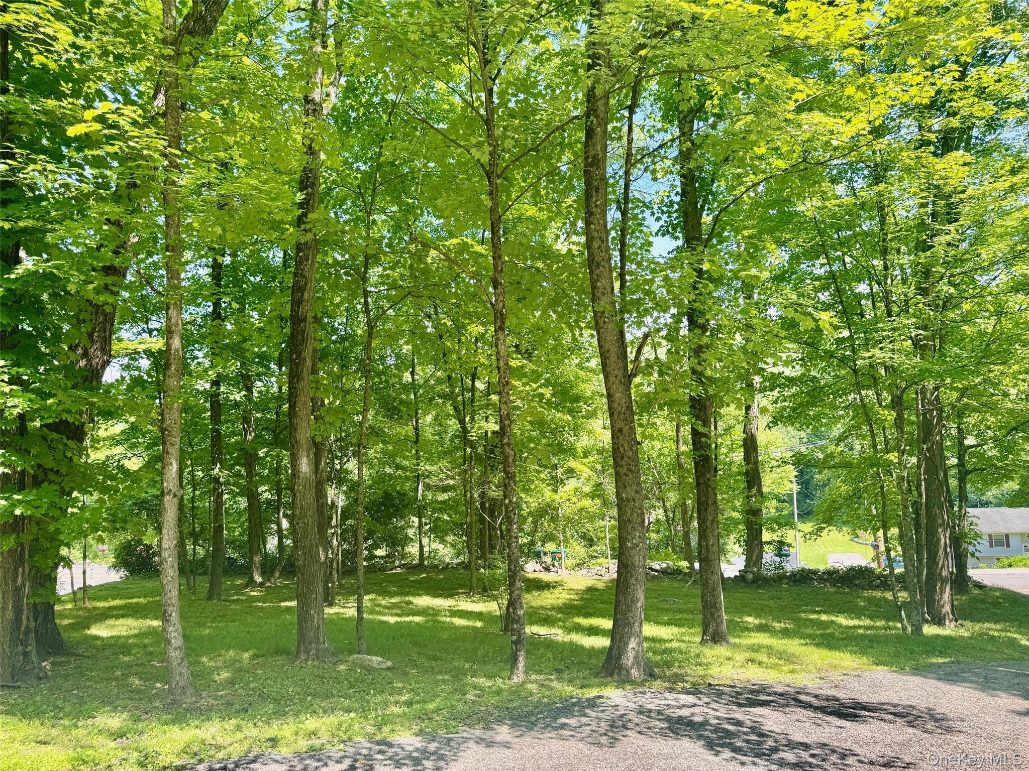 Single Family Sprout Brook  Putnam County, NY 10579, MLS-869615-37