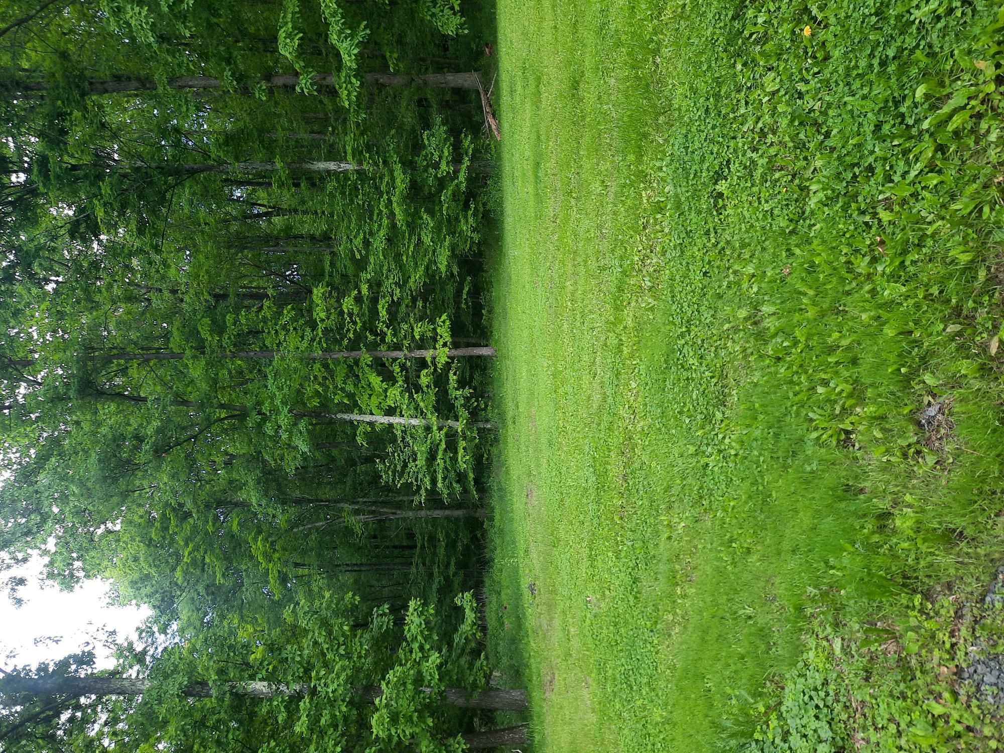 Single Family Minisink  Orange County, NY 12771, MLS-869685-22
