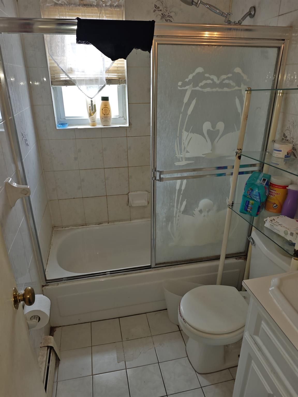 Single Family Belmont  Brooklyn, NY 11207, MLS-869730-8