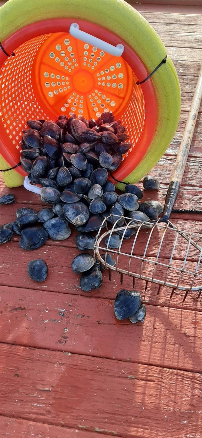 Single Family Cold Spring Suffolk County, NY 11968, MLS-869793-49