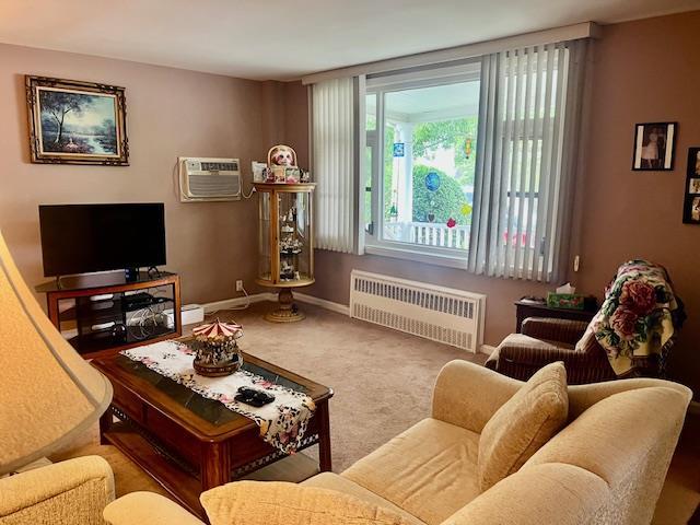 Single Family 113th  Queens, NY 11418, MLS-869869-5