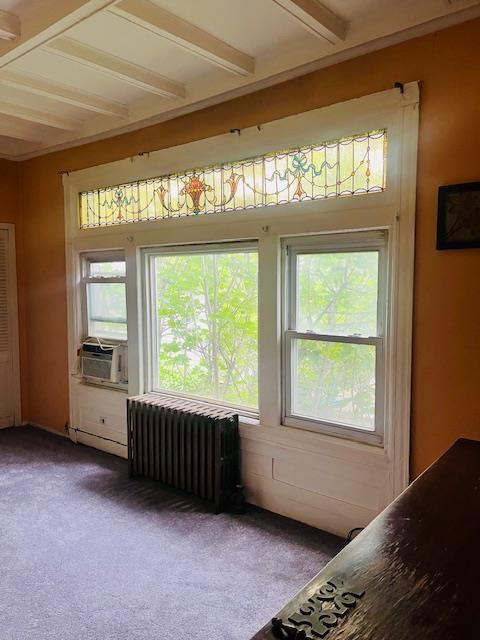 Single Family 113th  Queens, NY 11418, MLS-869869-8