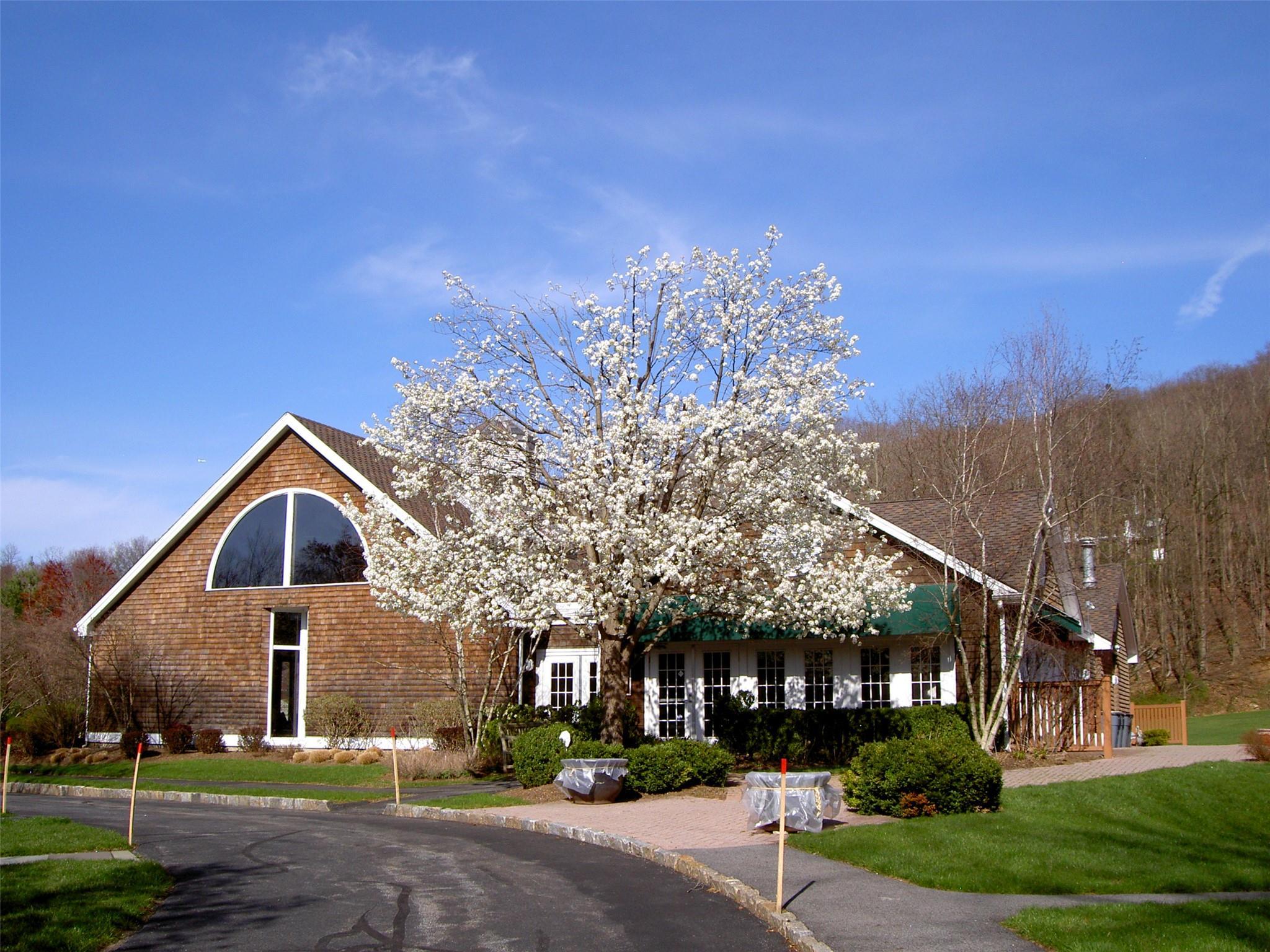 Single Family Burr Farms  Westchester County, NY 10549, MLS-871915-46