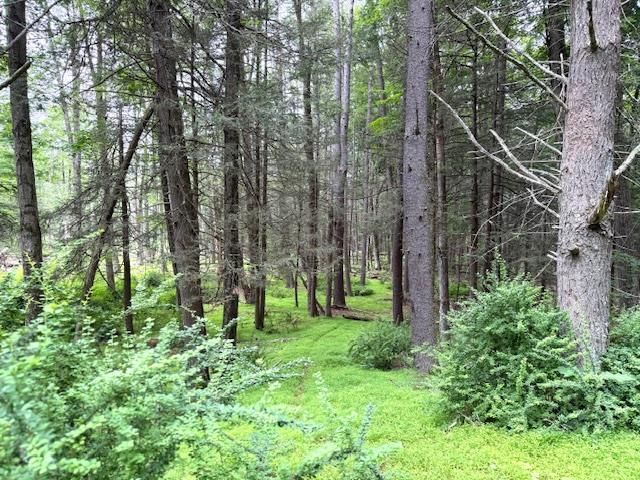 Single Family Old Plank  Orange County, NY 12780, MLS-872069-2