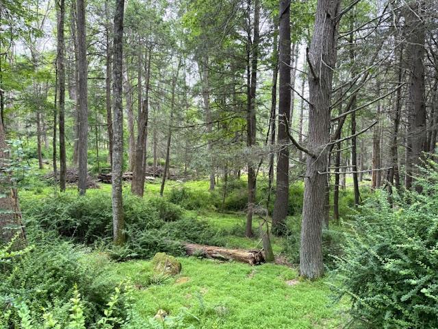 Single Family Old Plank  Orange County, NY 12780, MLS-872069-3