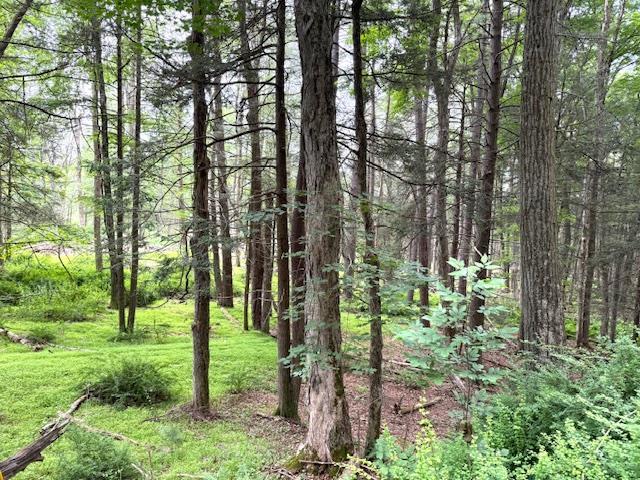 Single Family Old Plank  Orange County, NY 12780, MLS-872069-5
