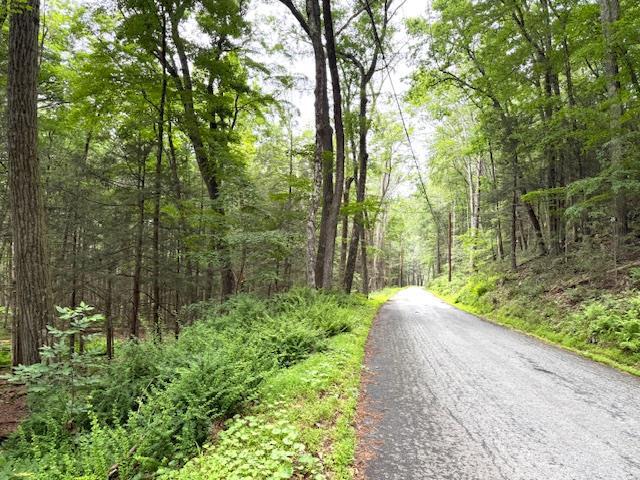 Single Family Old Plank  Orange County, NY 12780, MLS-872069-6