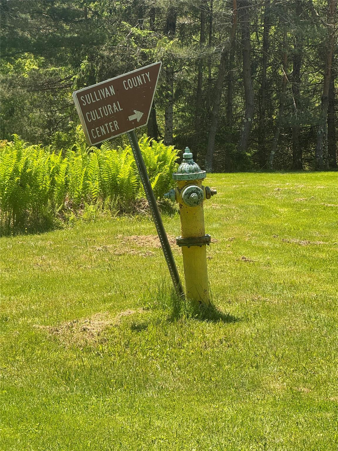 Single Family Old Lilly Pond  Sullivan County, NY 12768, MLS-872194-20