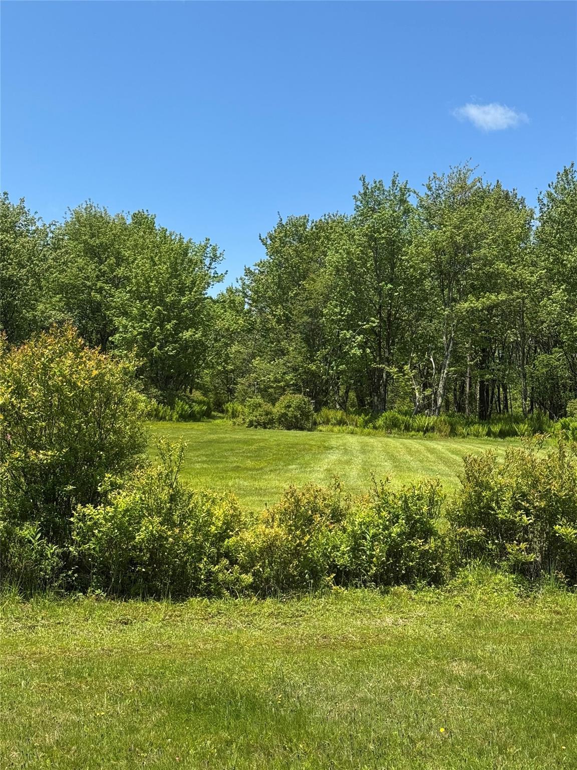 Single Family Old Lilly Pond  Sullivan County, NY 12768, MLS-872194-7