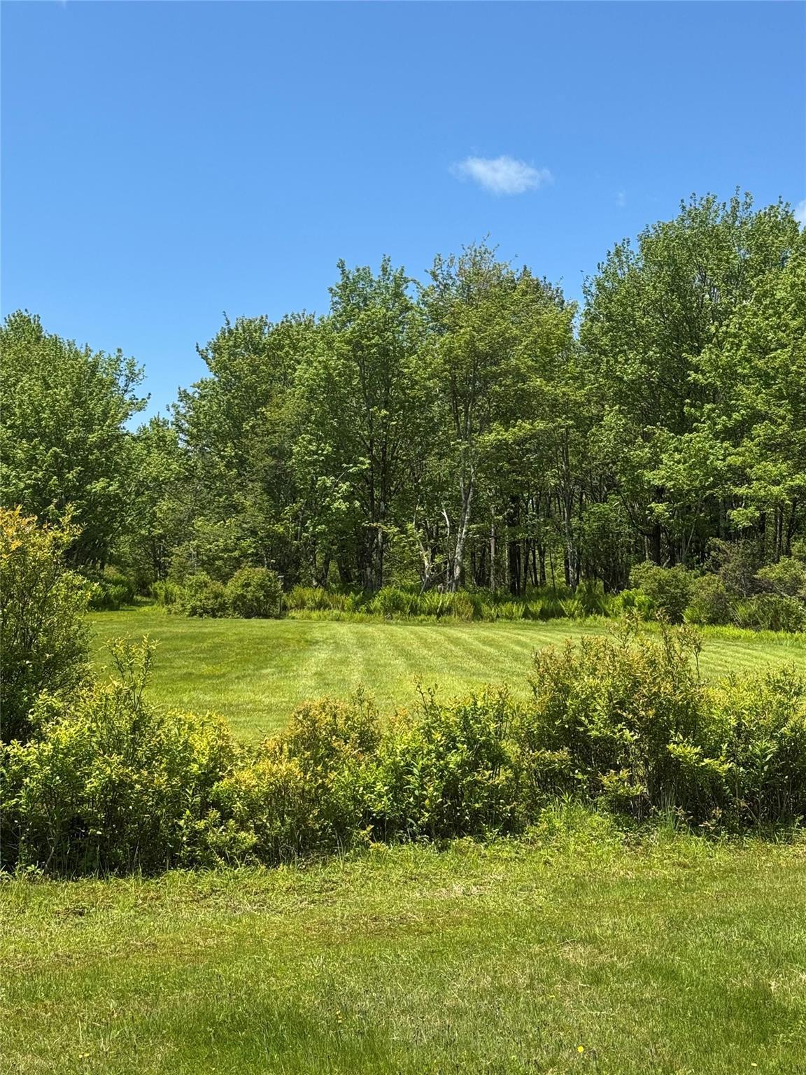 Single Family Old Lilly Pond  Sullivan County, NY 12768, MLS-872194-8