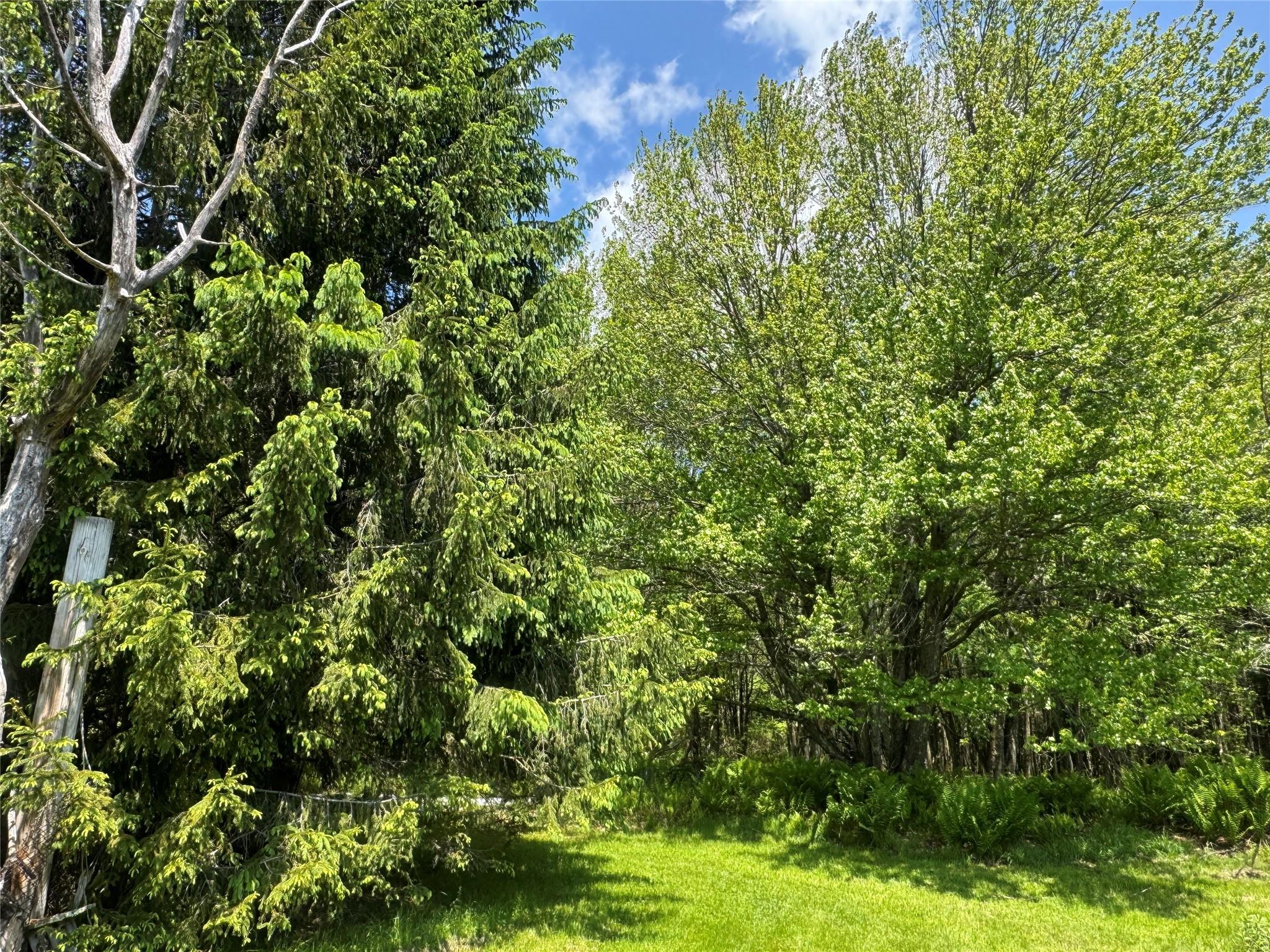 Single Family Old Lilly Pond  Sullivan County, NY 12768, MLS-872194-9