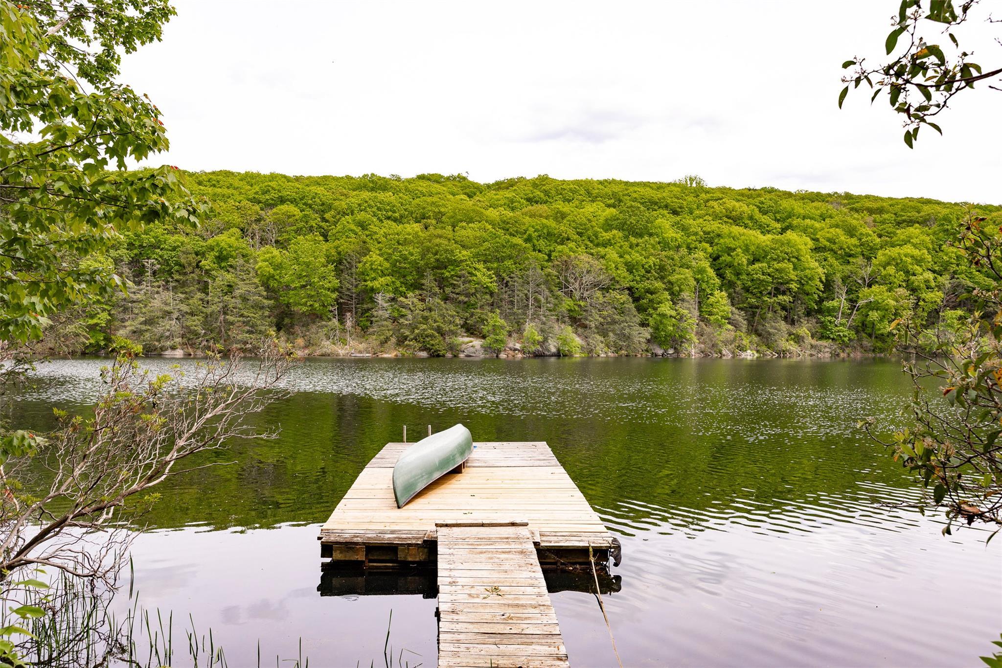 Single Family Little Pond Dutchess County, NY 12564, MLS-872418-18