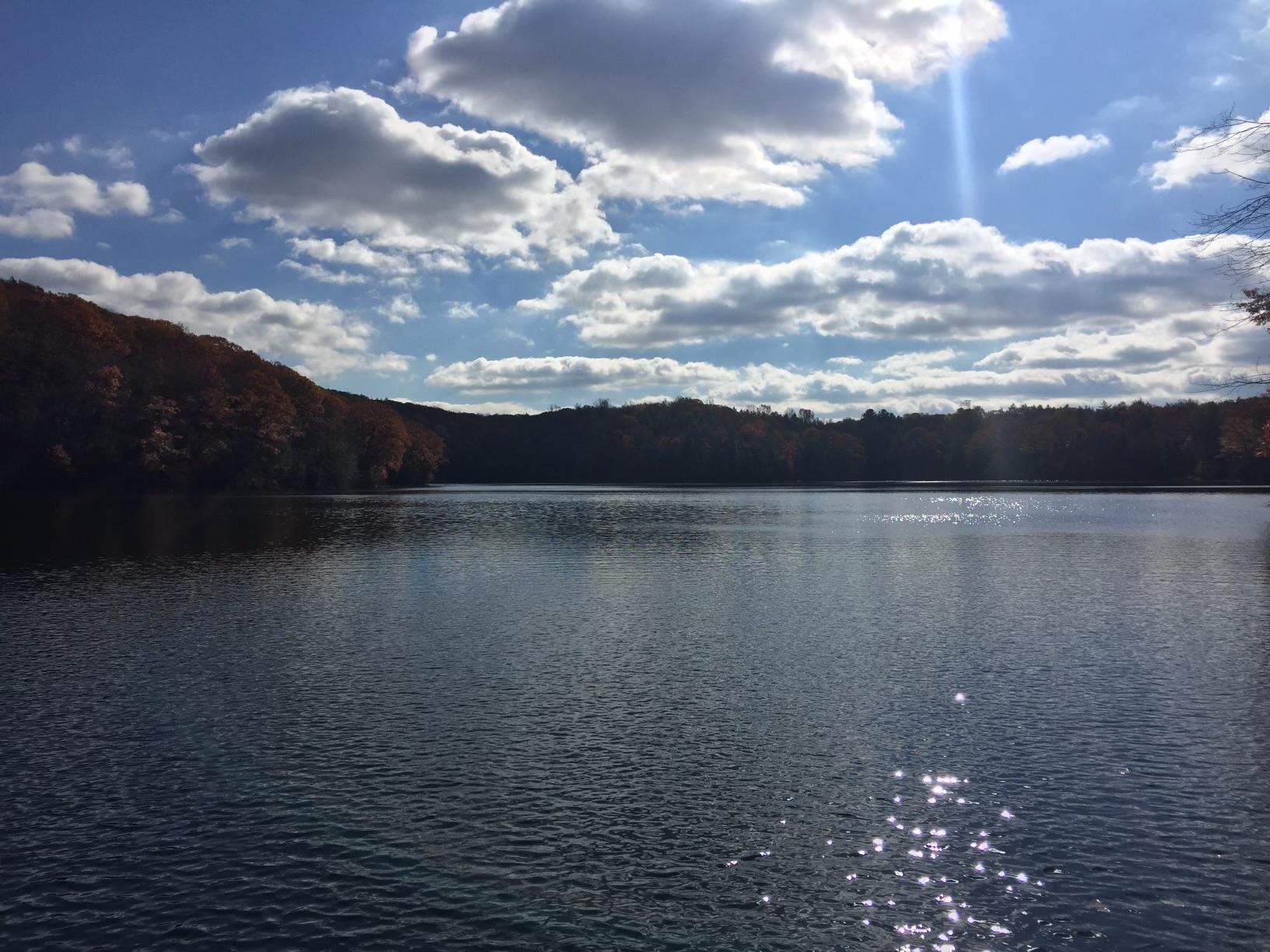 Single Family Little Pond Dutchess County, NY 12564, MLS-872418-7