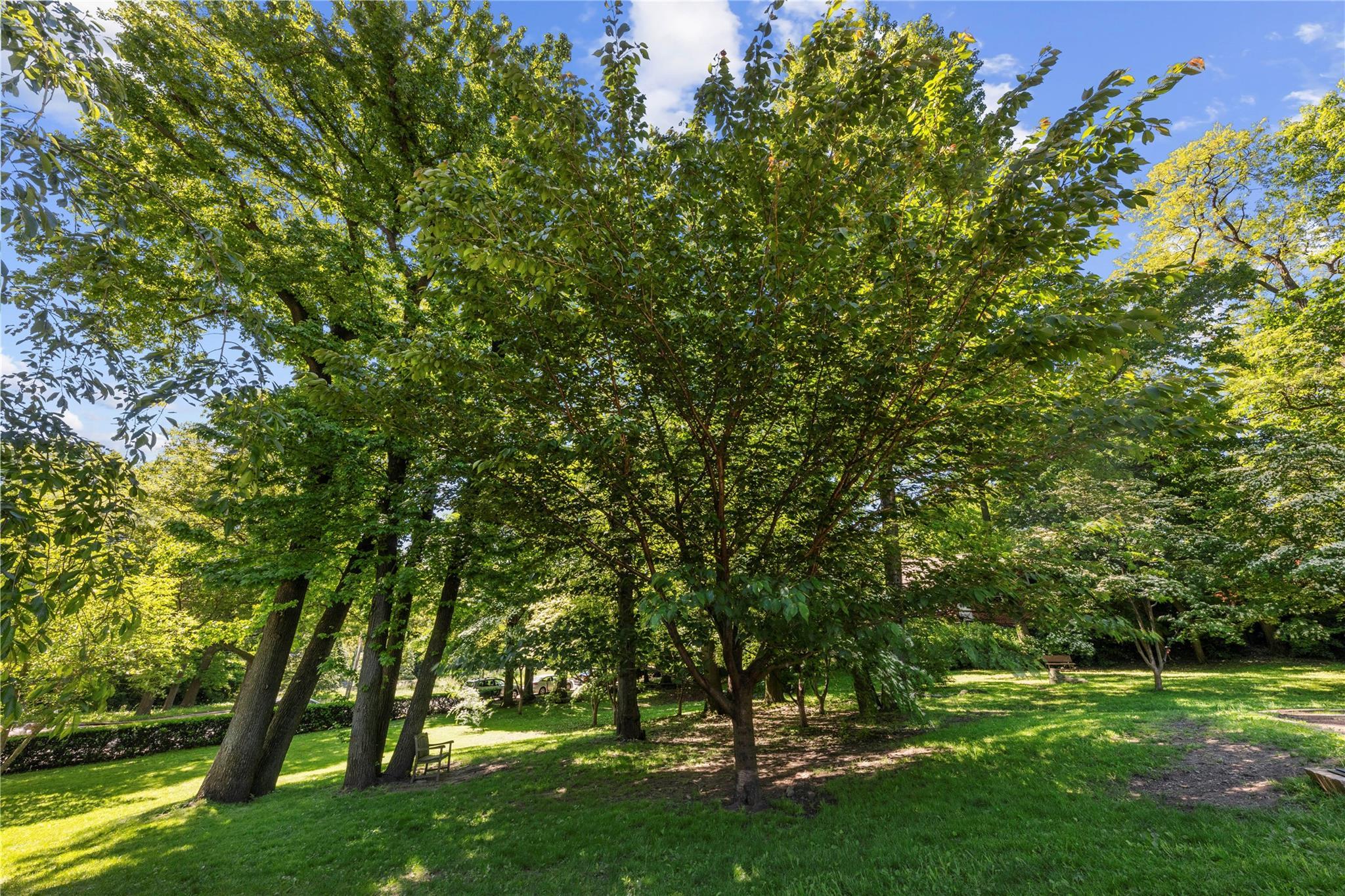 Coop Henry Hudson  Bronx, NY 10471, MLS-872545-15