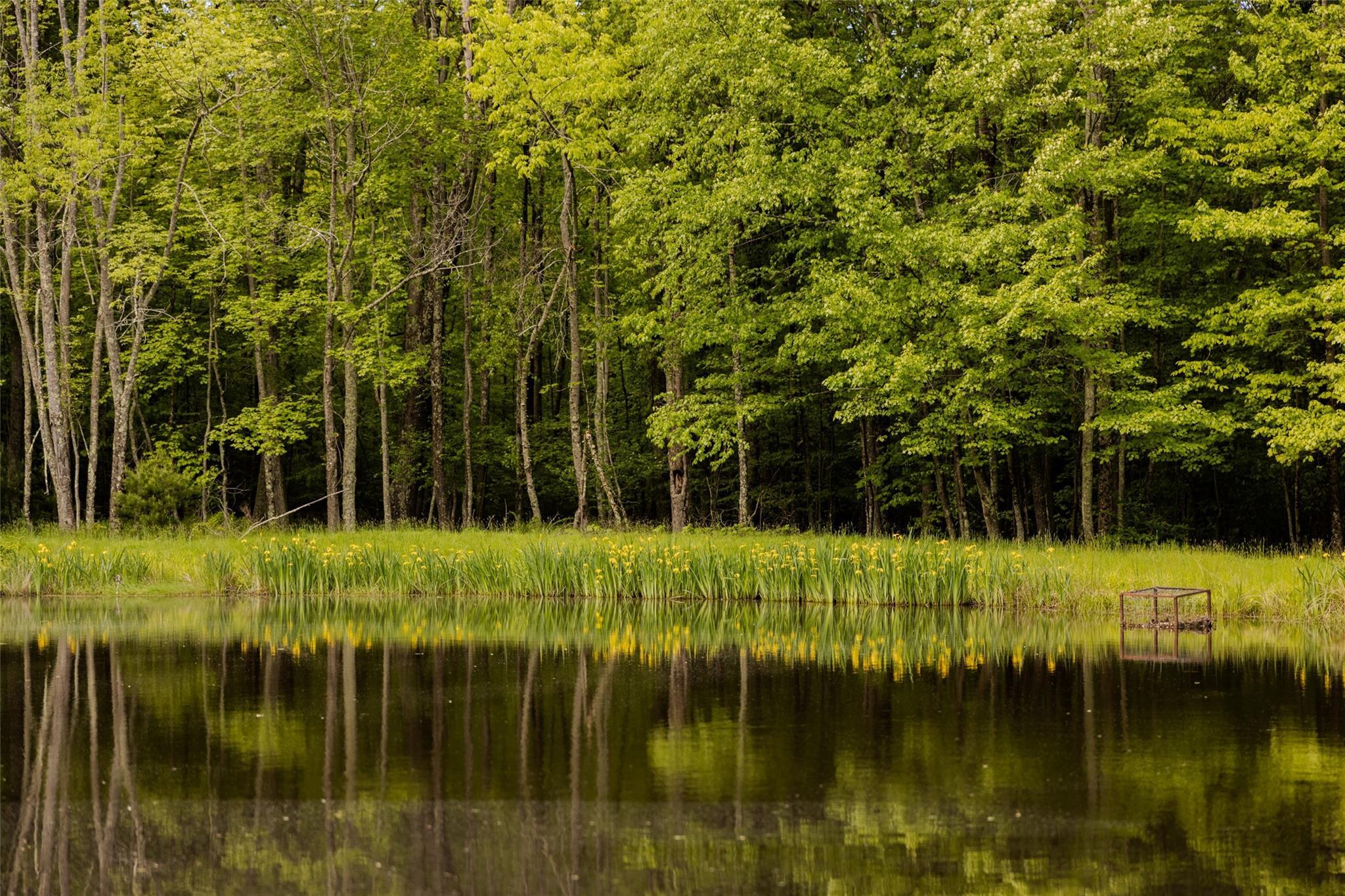 Single Family County Road 114  Sullivan County, NY 12726, MLS-872758-11