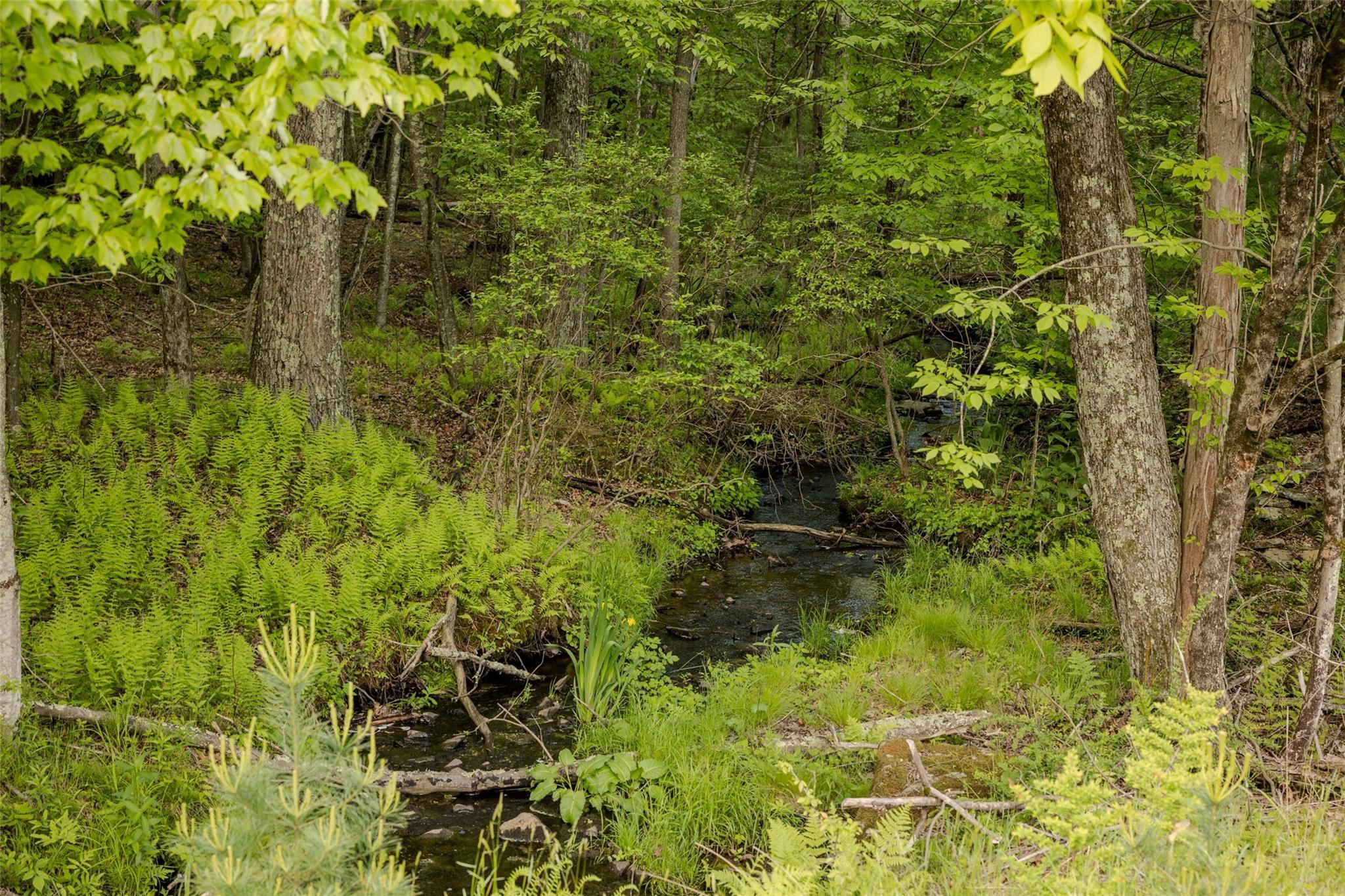 Single Family County Road 114  Sullivan County, NY 12726, MLS-872758-13