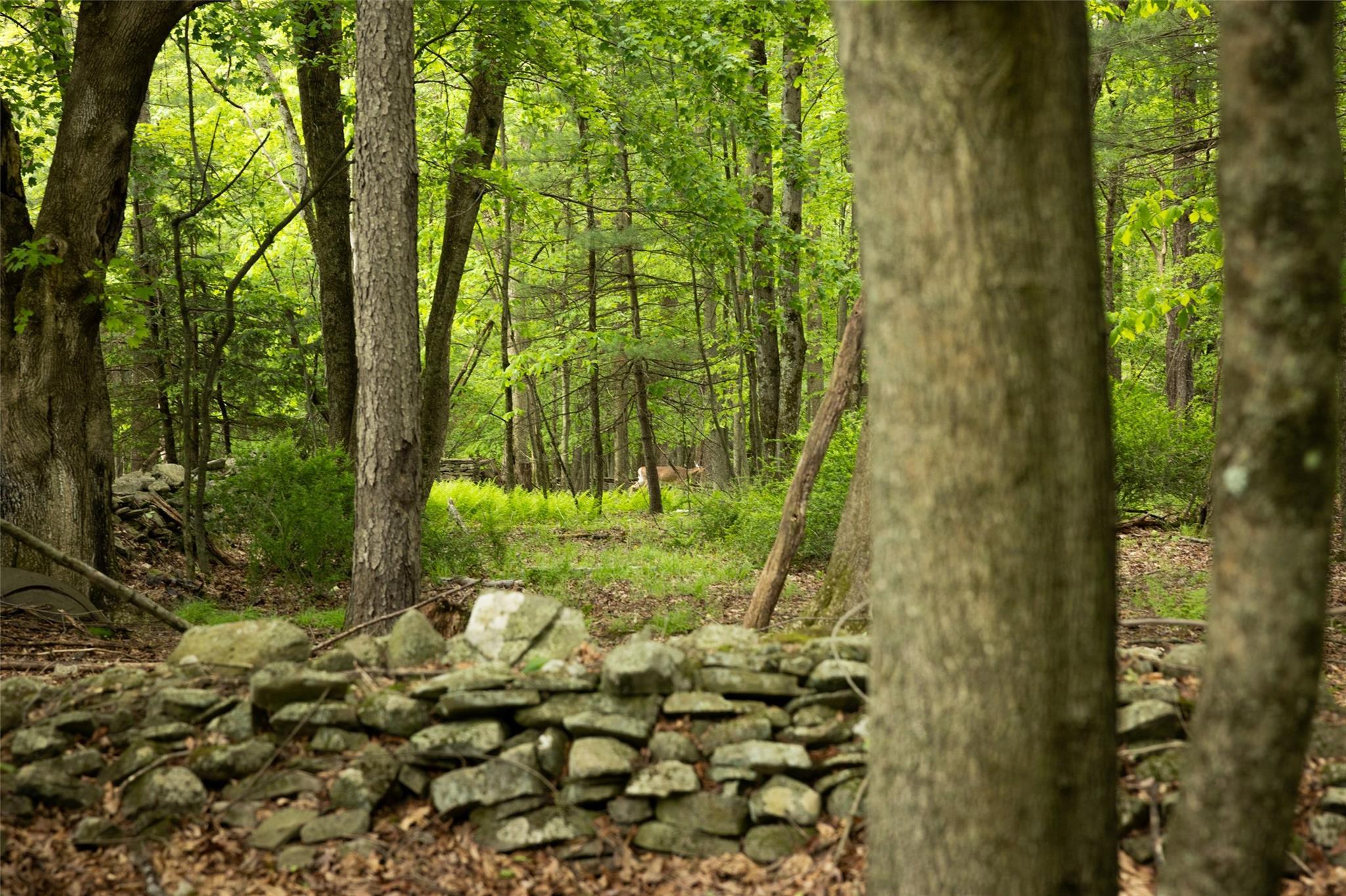 Single Family County Road 114  Sullivan County, NY 12726, MLS-872758-16