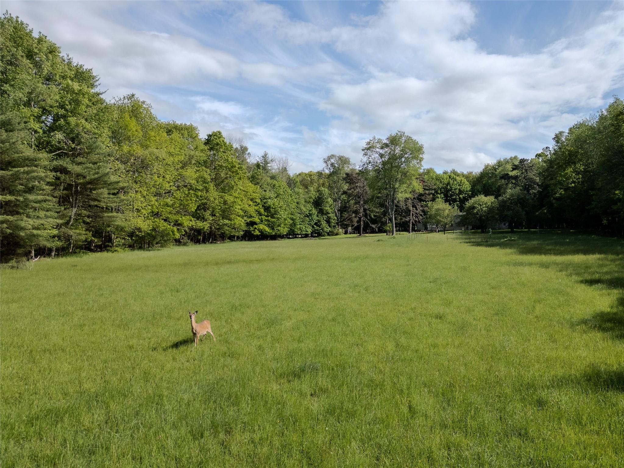 Single Family County Road 114  Sullivan County, NY 12726, MLS-872758-17