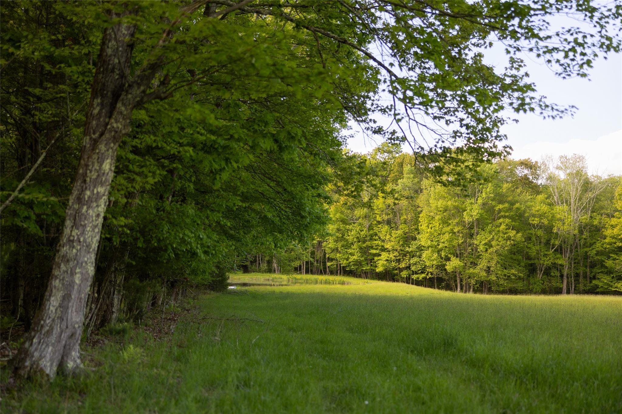 Single Family County Road 114  Sullivan County, NY 12726, MLS-872758-18