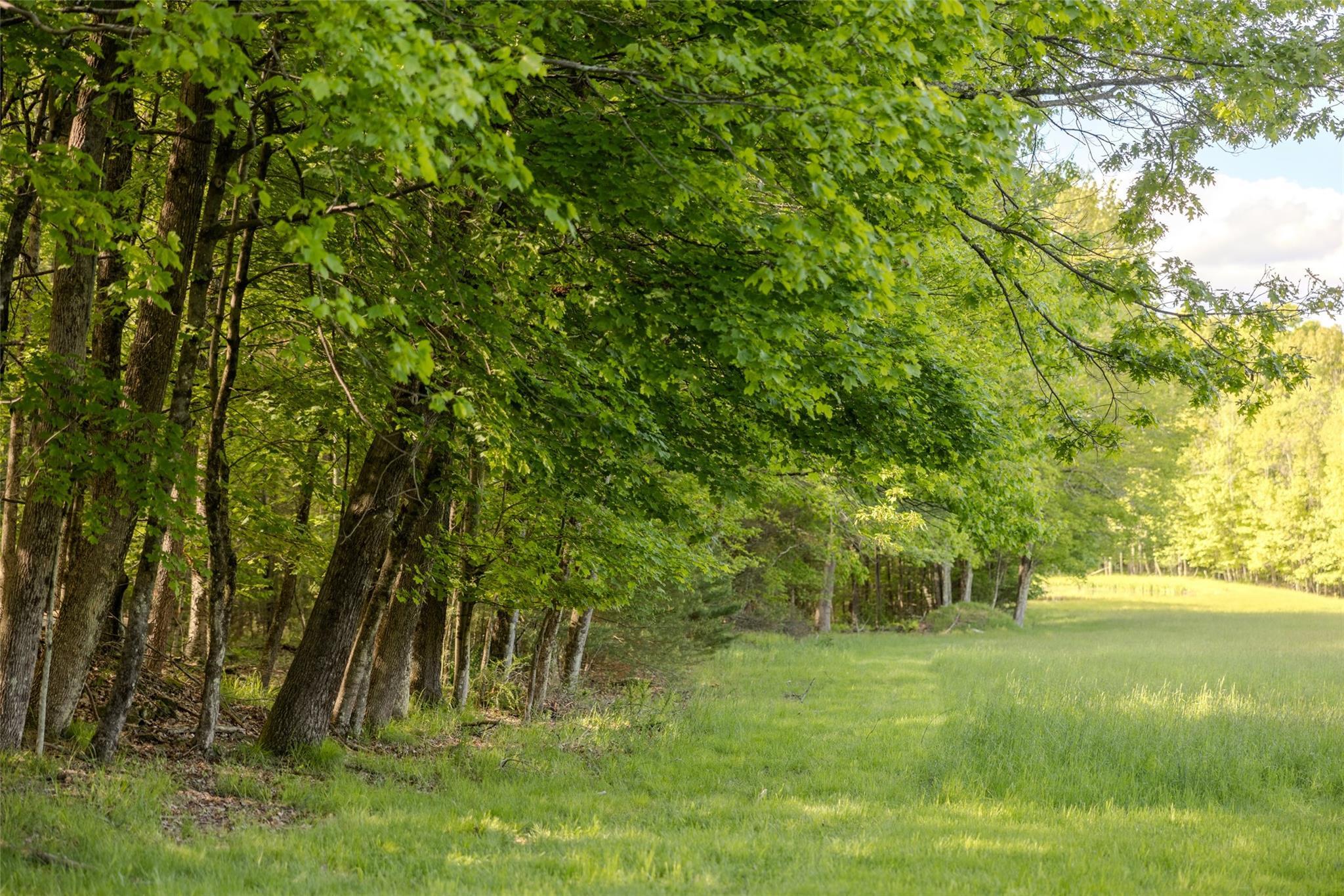 Single Family County Road 114  Sullivan County, NY 12726, MLS-872758-20