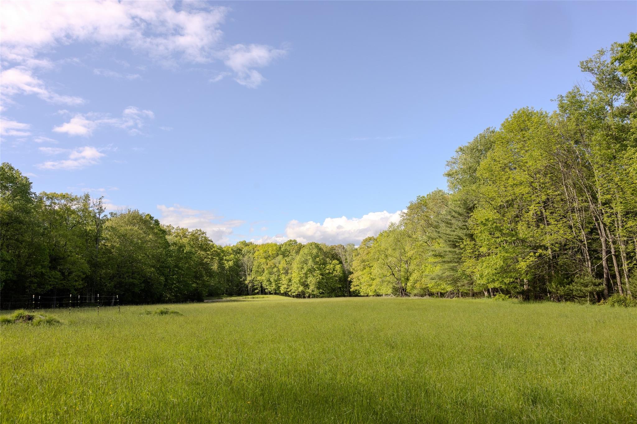 Single Family County Road 114  Sullivan County, NY 12726, MLS-872758-25