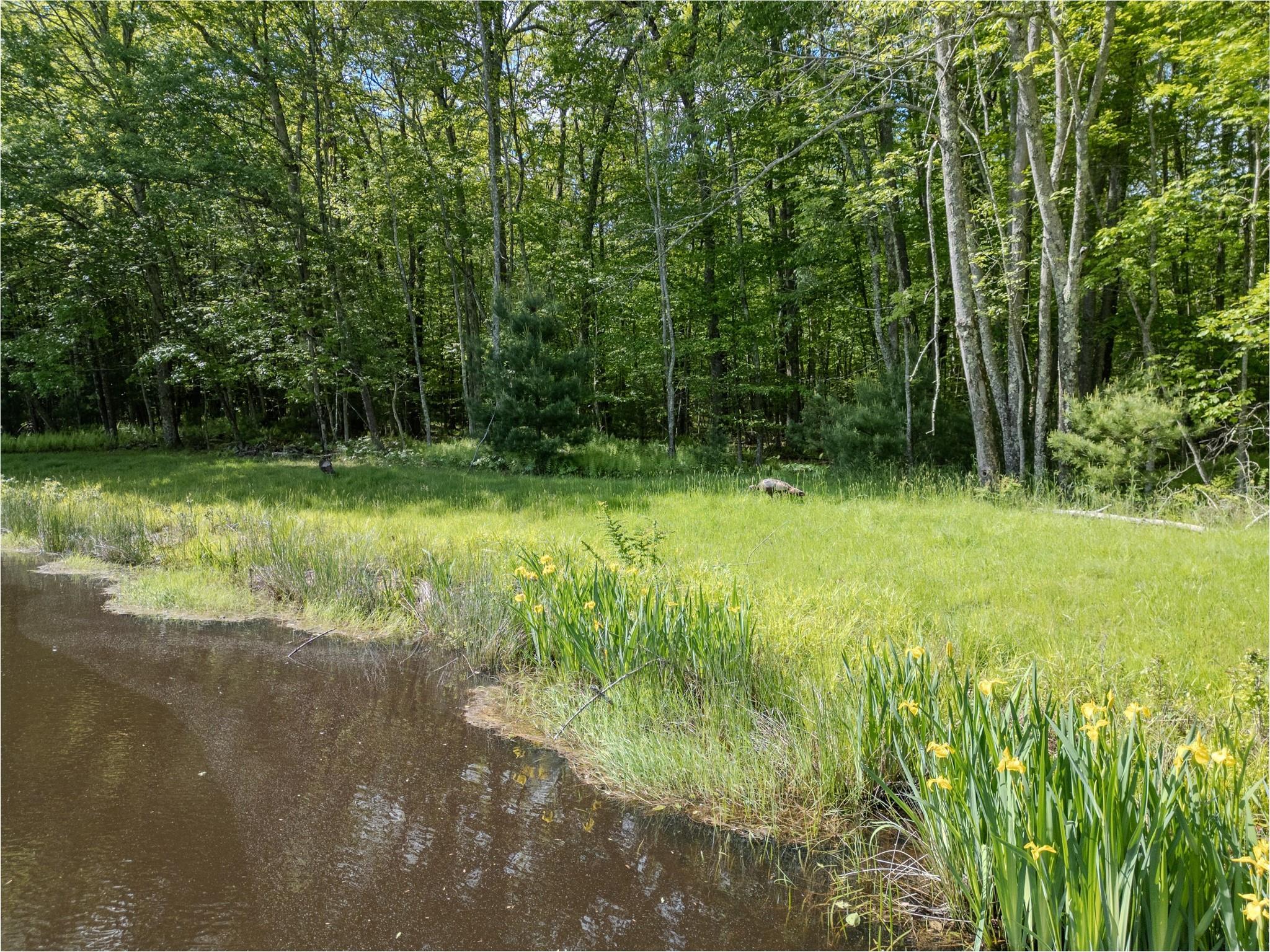 Single Family County Road 114  Sullivan County, NY 12726, MLS-872758-8