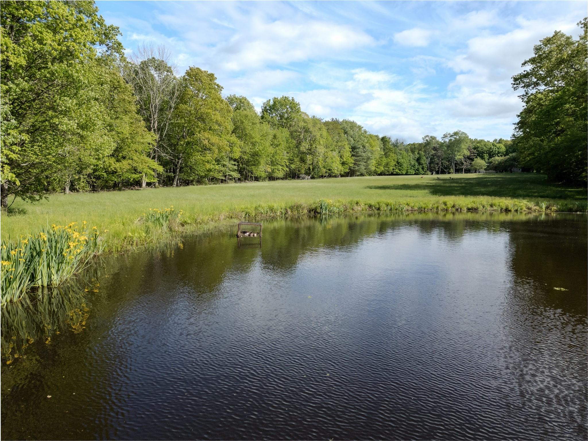 Single Family County Road 114  Sullivan County, NY 12726, MLS-872758-9